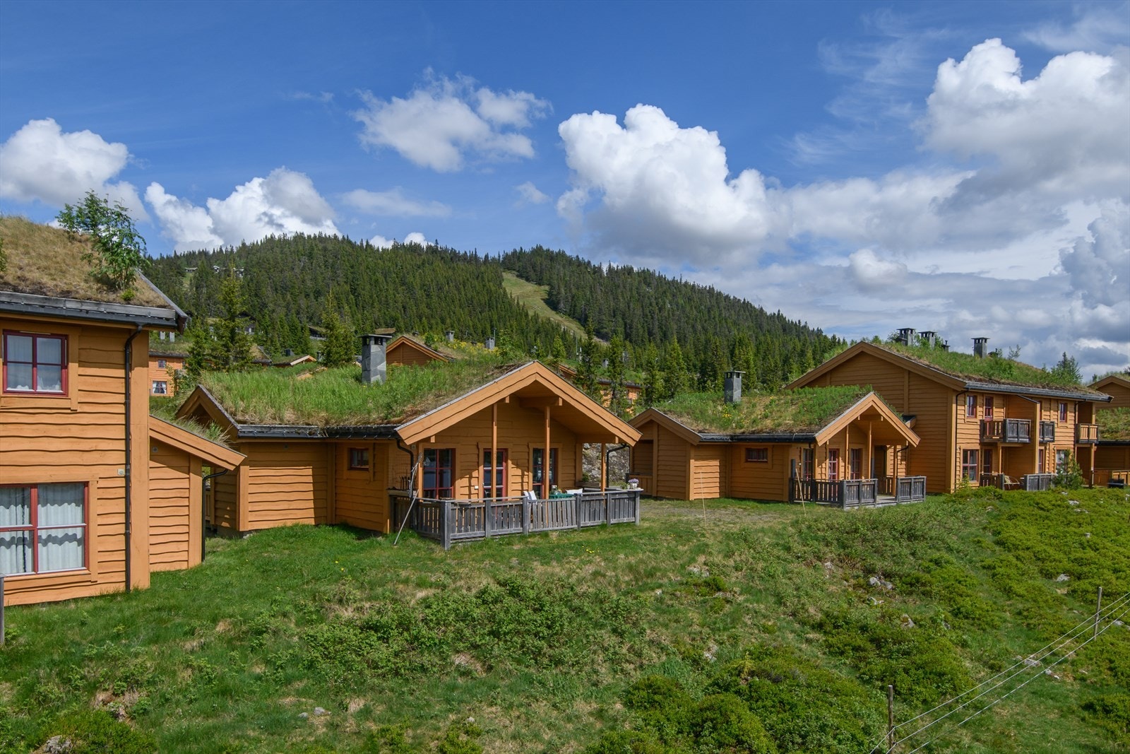 Velkommen til Eftasvegen 17! Trivelig hytte i Natrudstilen Borettslag. Galleribilde