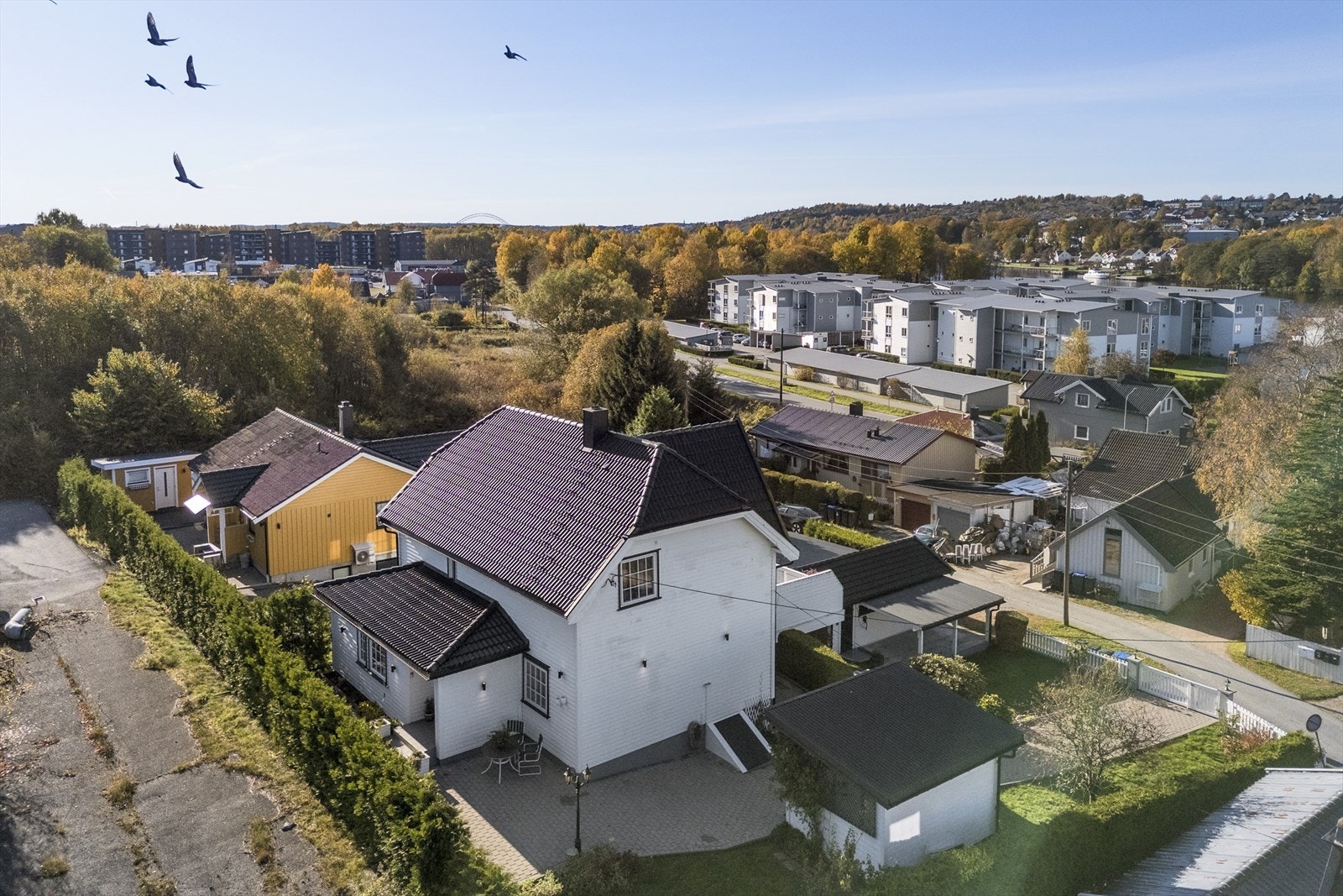 Områdebilde Galleribilde