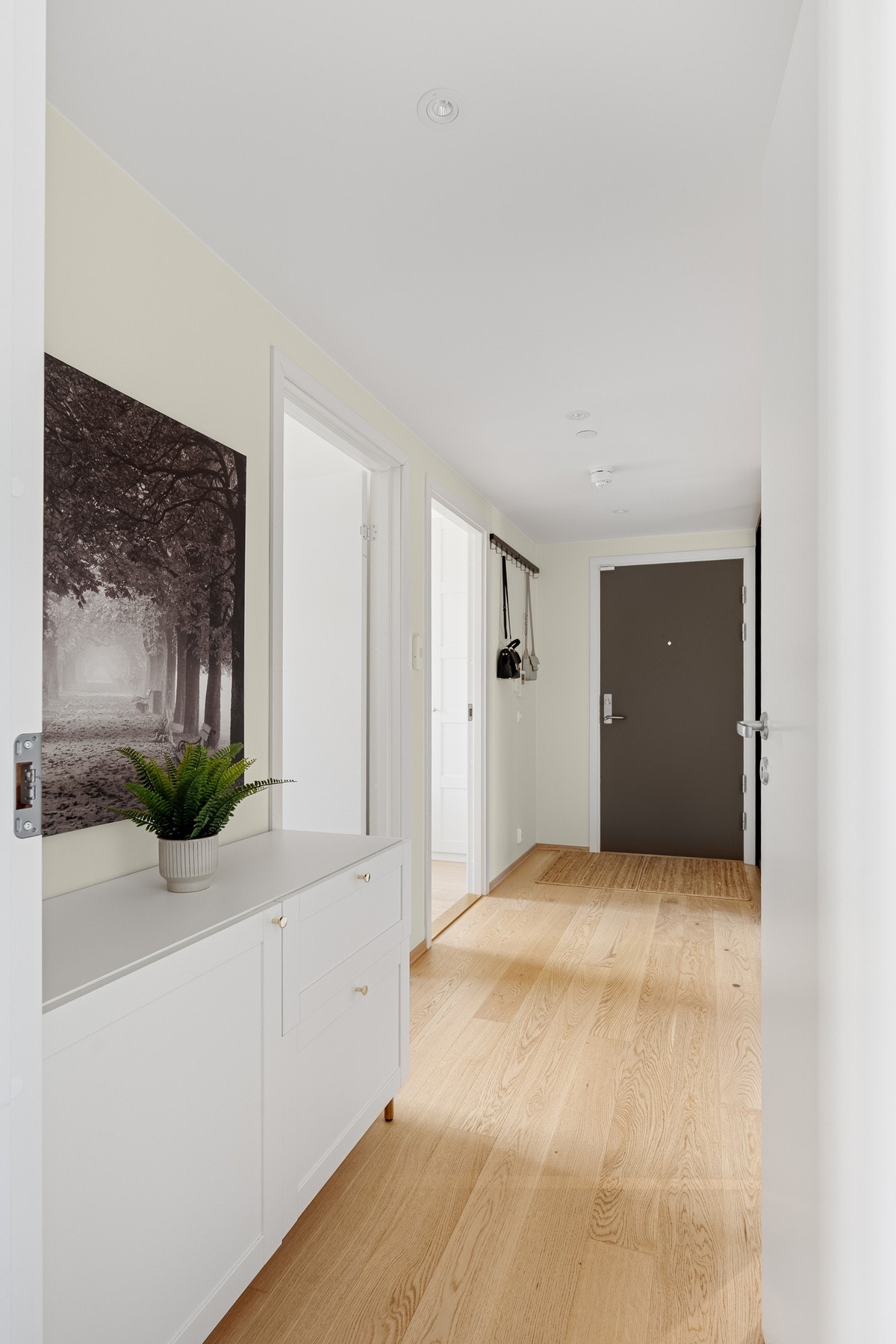 Lys og praktisk entrè med god plass til å henge fra seg yttertøy og sko! Galleribilde