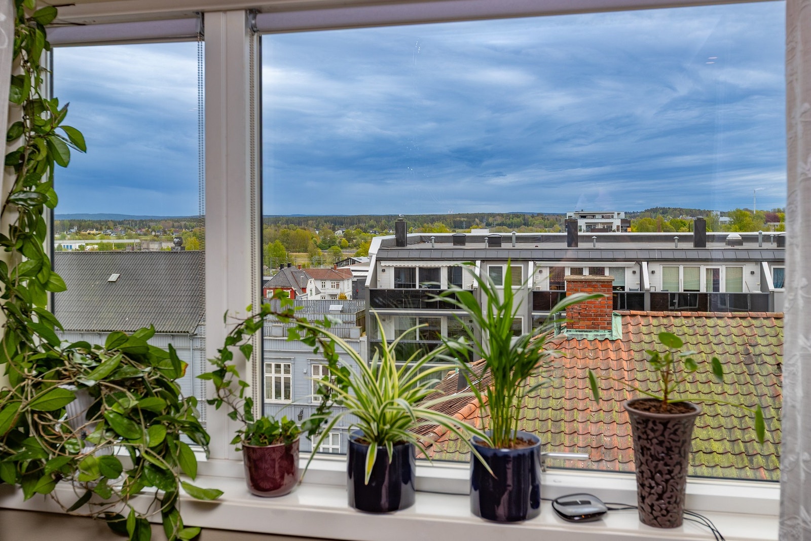 Hyggelig med utsyn til grøntområder og himmel - selv om man er midt i byen. Galleribilde