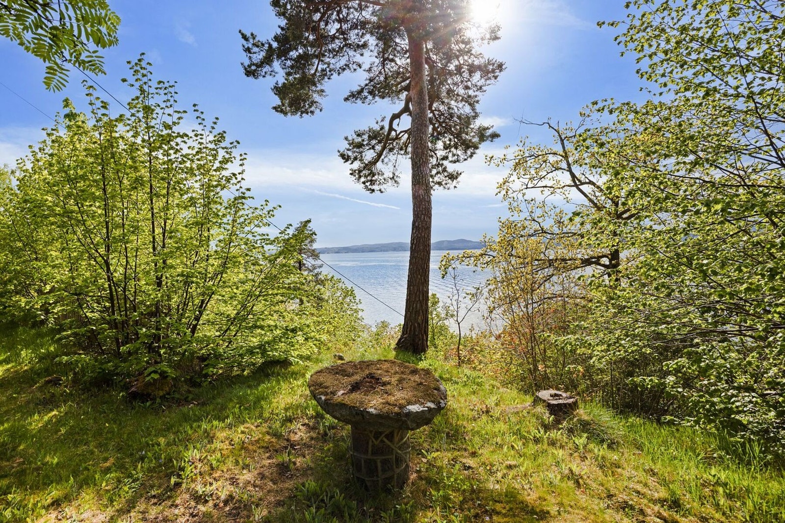 Tomtearealet i Gnr. 2 Bnr. 192 er oppdelt som tilleggsarealer til hver seksjon og adkomst er fellesarealer for begge seksjonene. Galleribilde