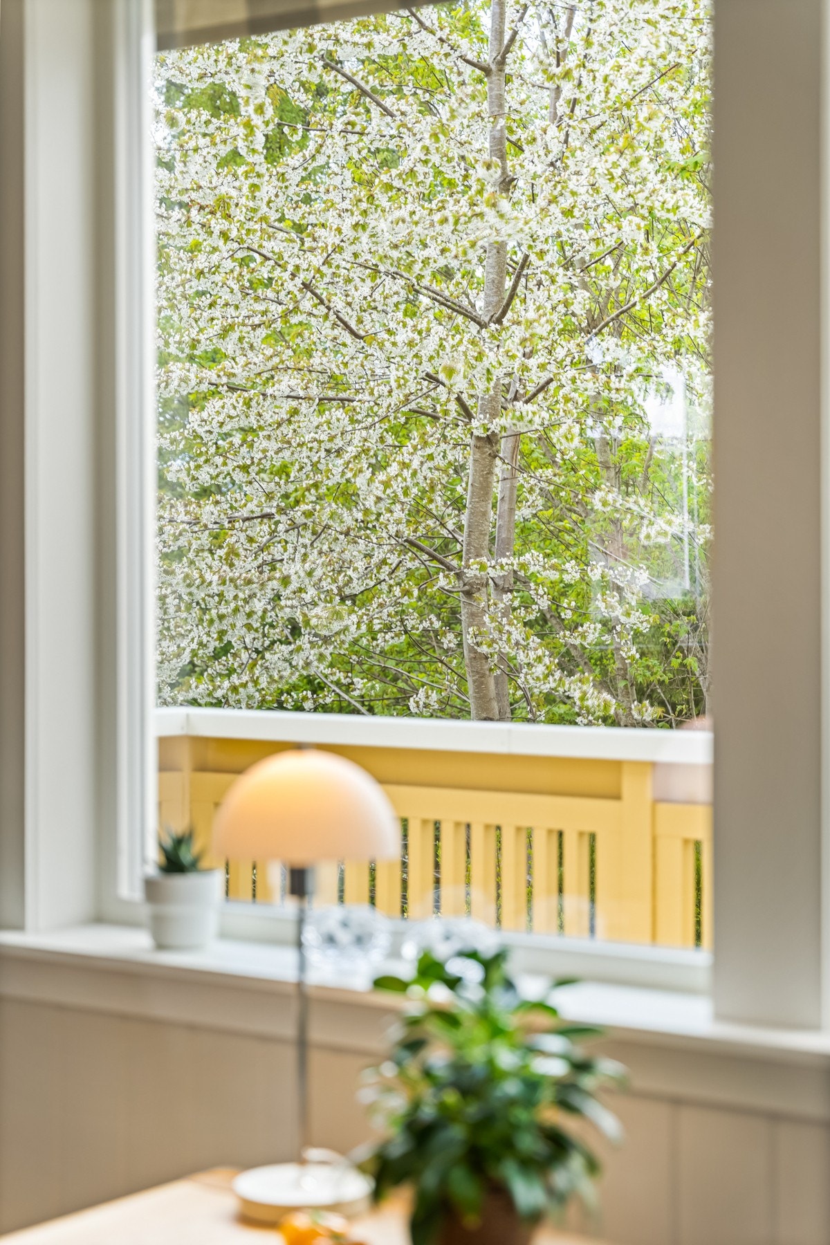 Grønt utsyn fra stuevindu. Galleribilde
