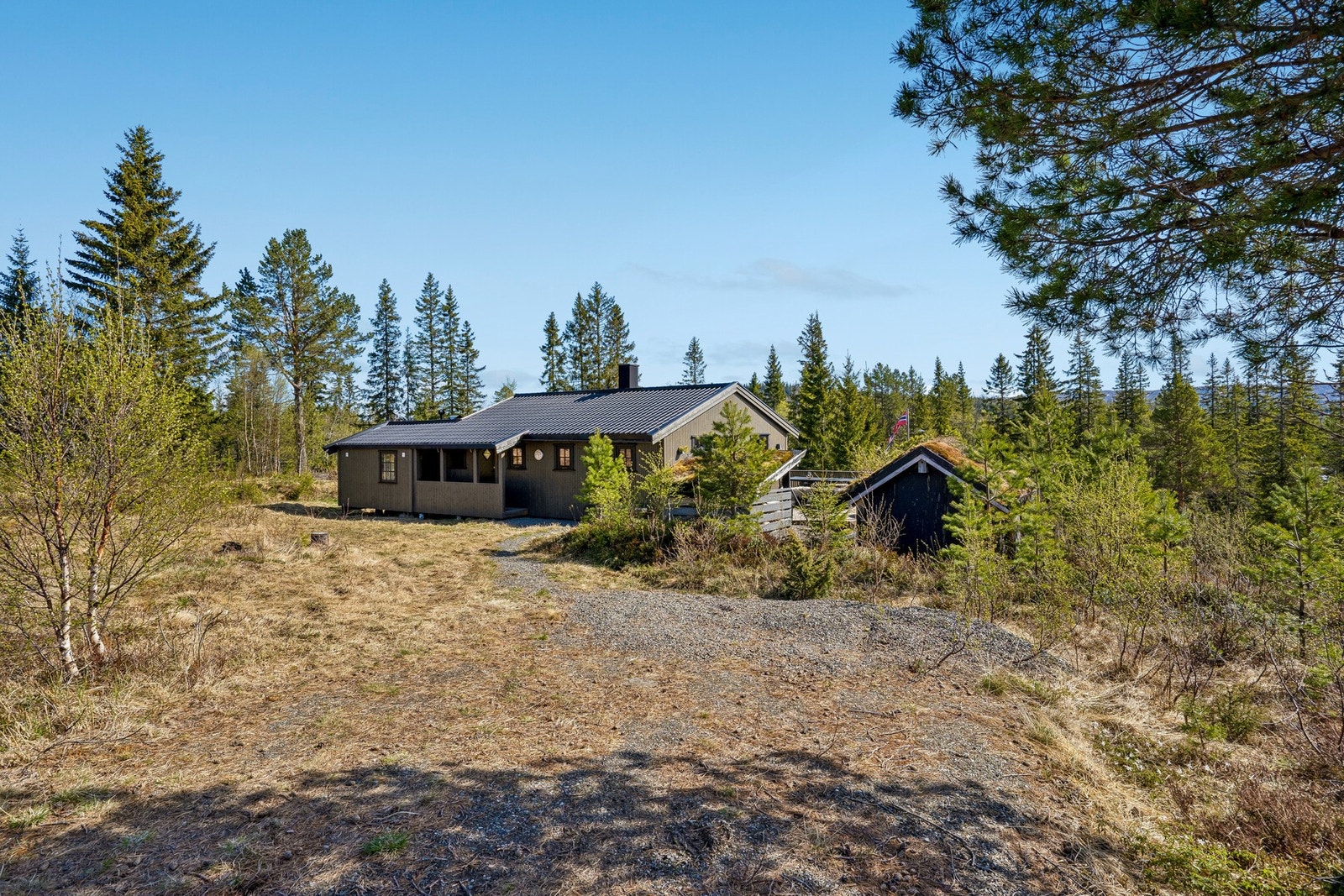 Velkommen til en hyggelig visning. Galleribilde