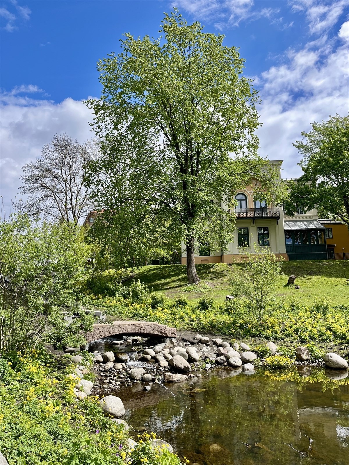 Idyllisk parkområdet rett utenfor leiligheten - Kort vei til matbutikk og kafeer Galleribilde