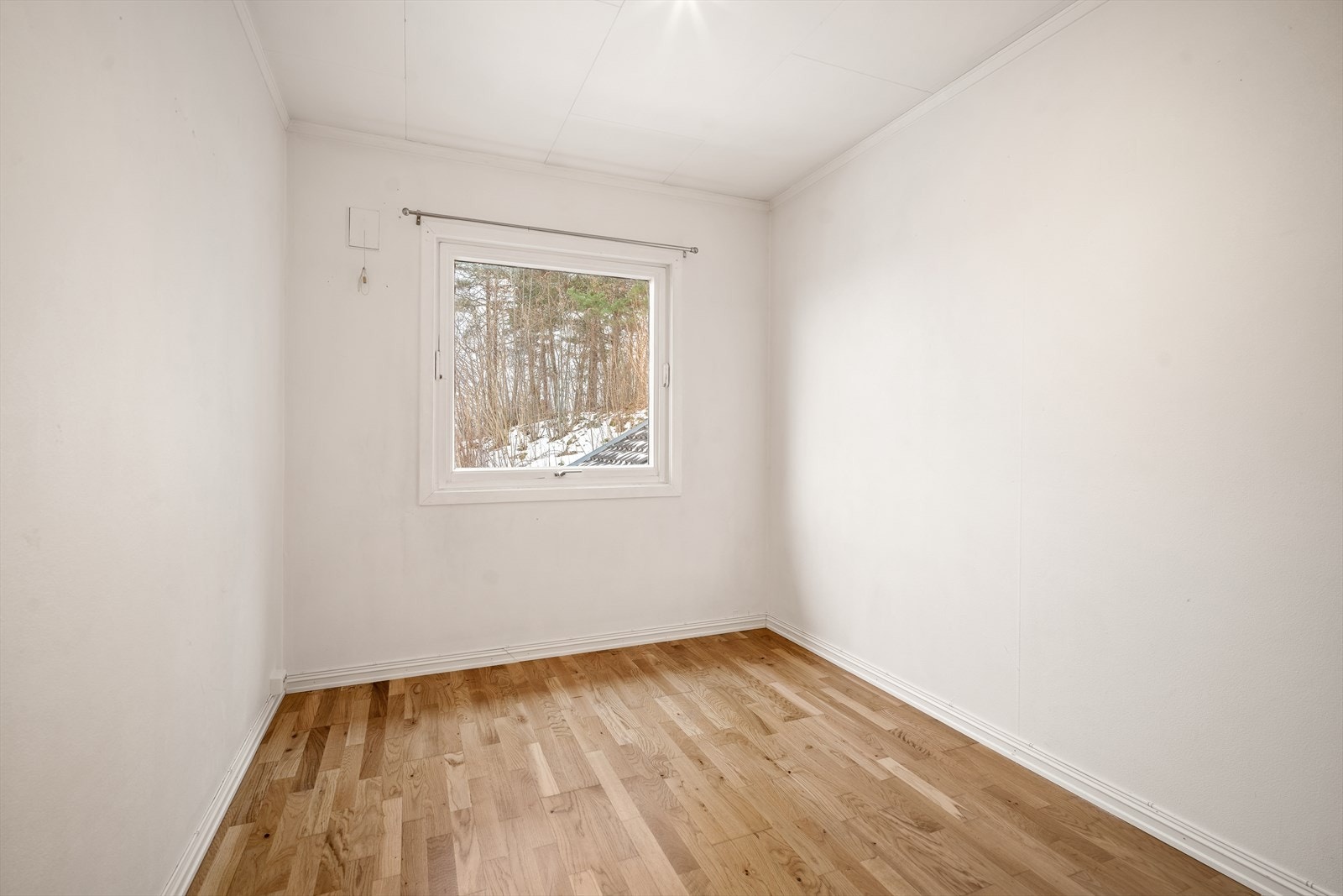 Stue i tilbygg Galleribilde