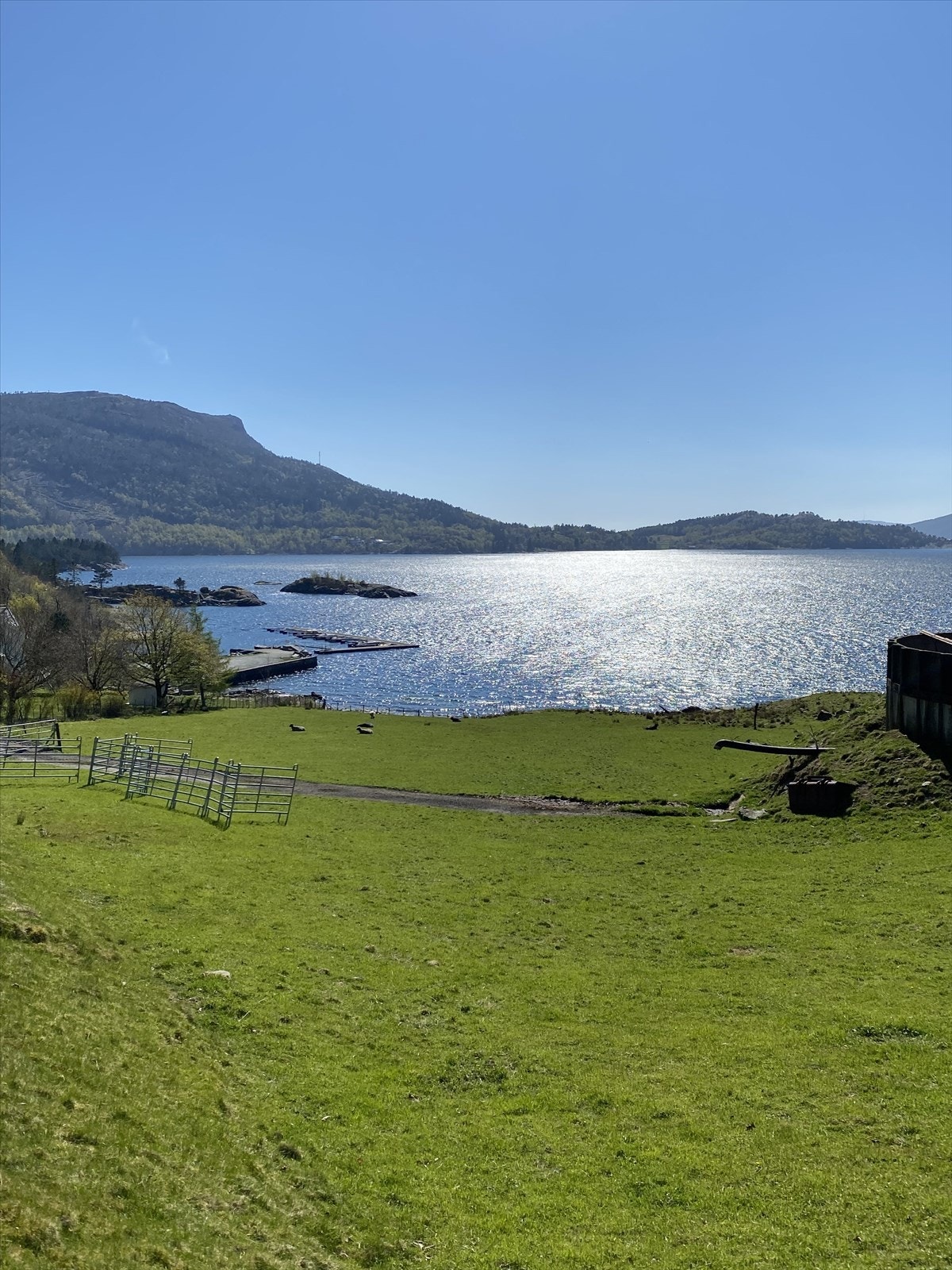 Utsikt over fjorden fra nærområdet. Galleribilde
