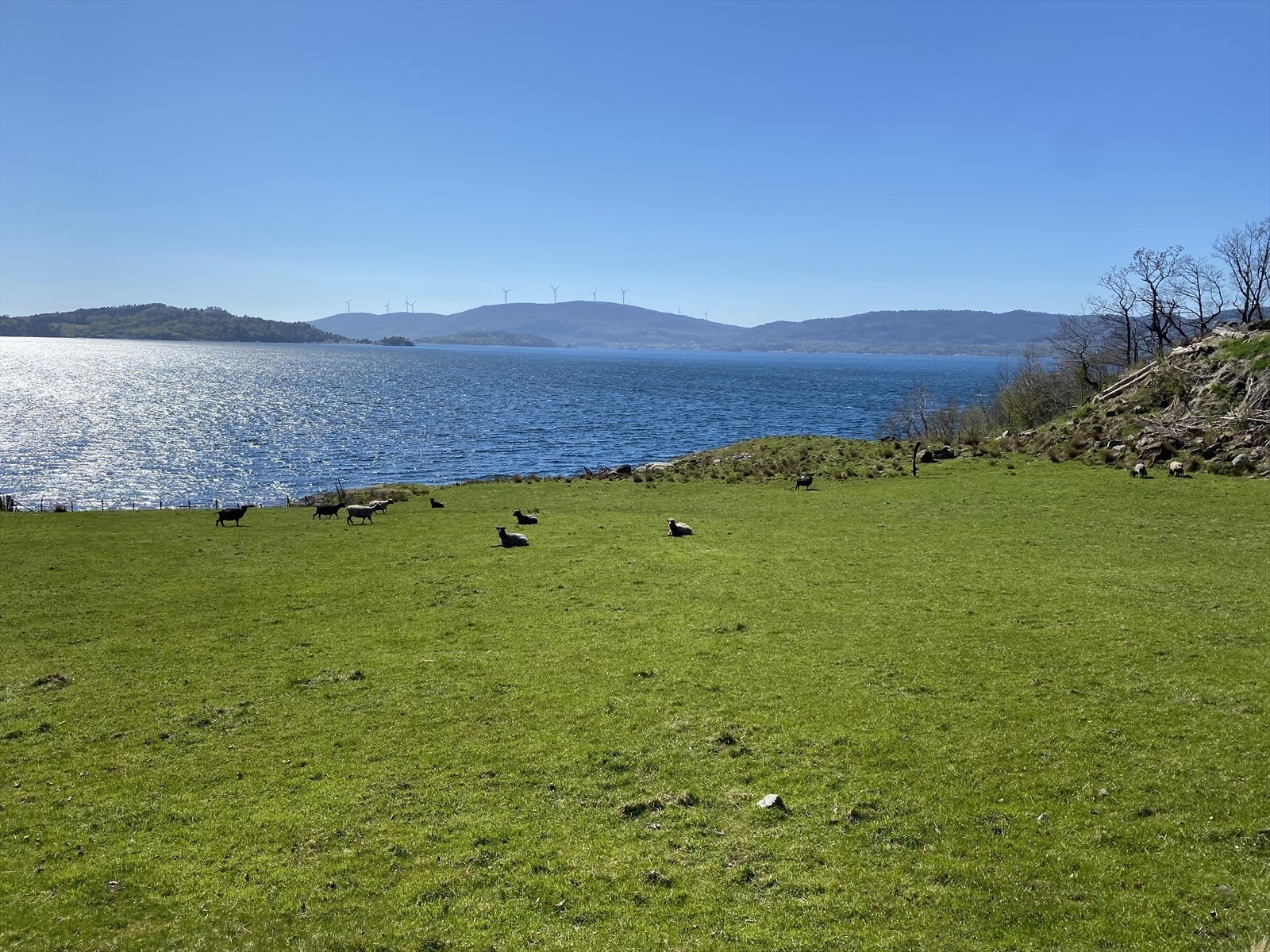 Beitemarker og landlig idyll preger landskapet rundt eiendommen. Galleribilde