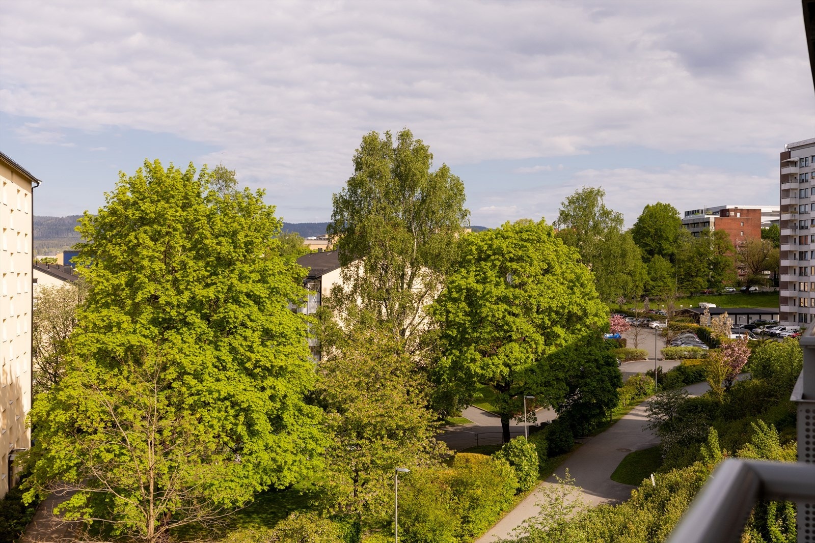 Flott og frodig utsikt! Galleribilde