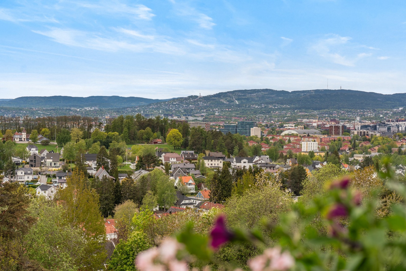 Utsikt mot Holmenkollen i det fjerne. Galleribilde
