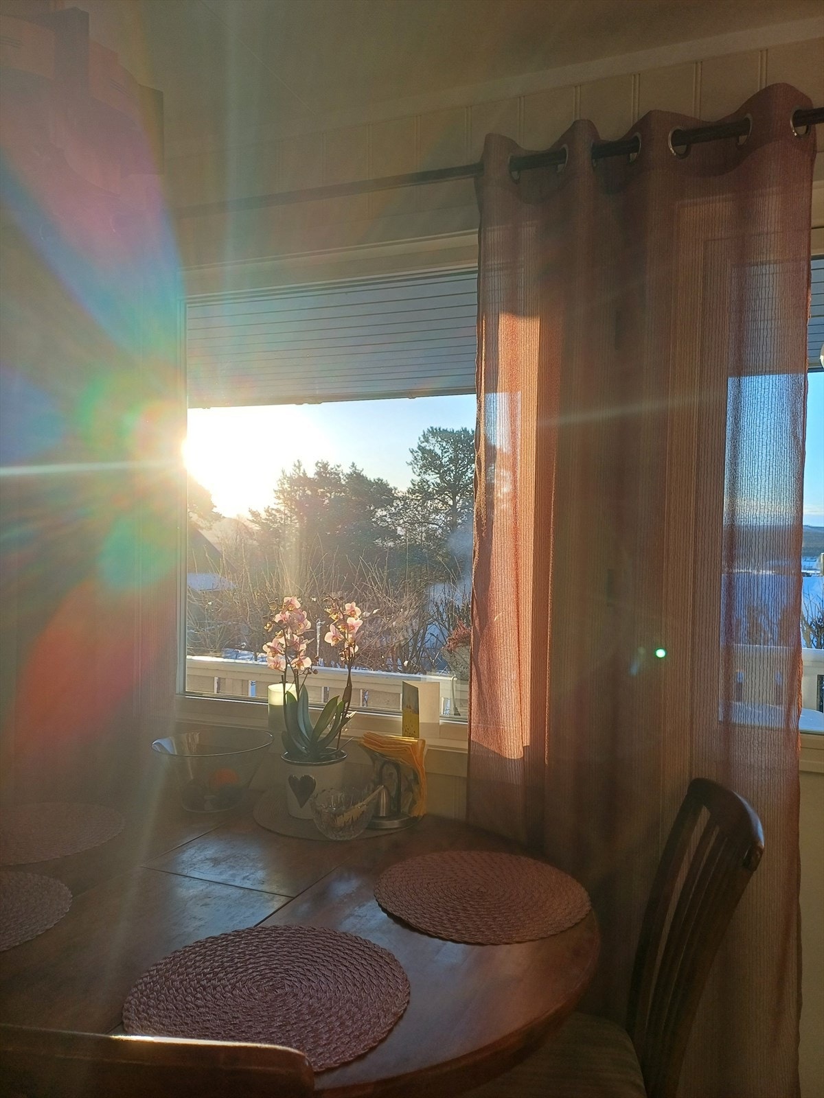 Foto privat Galleribilde