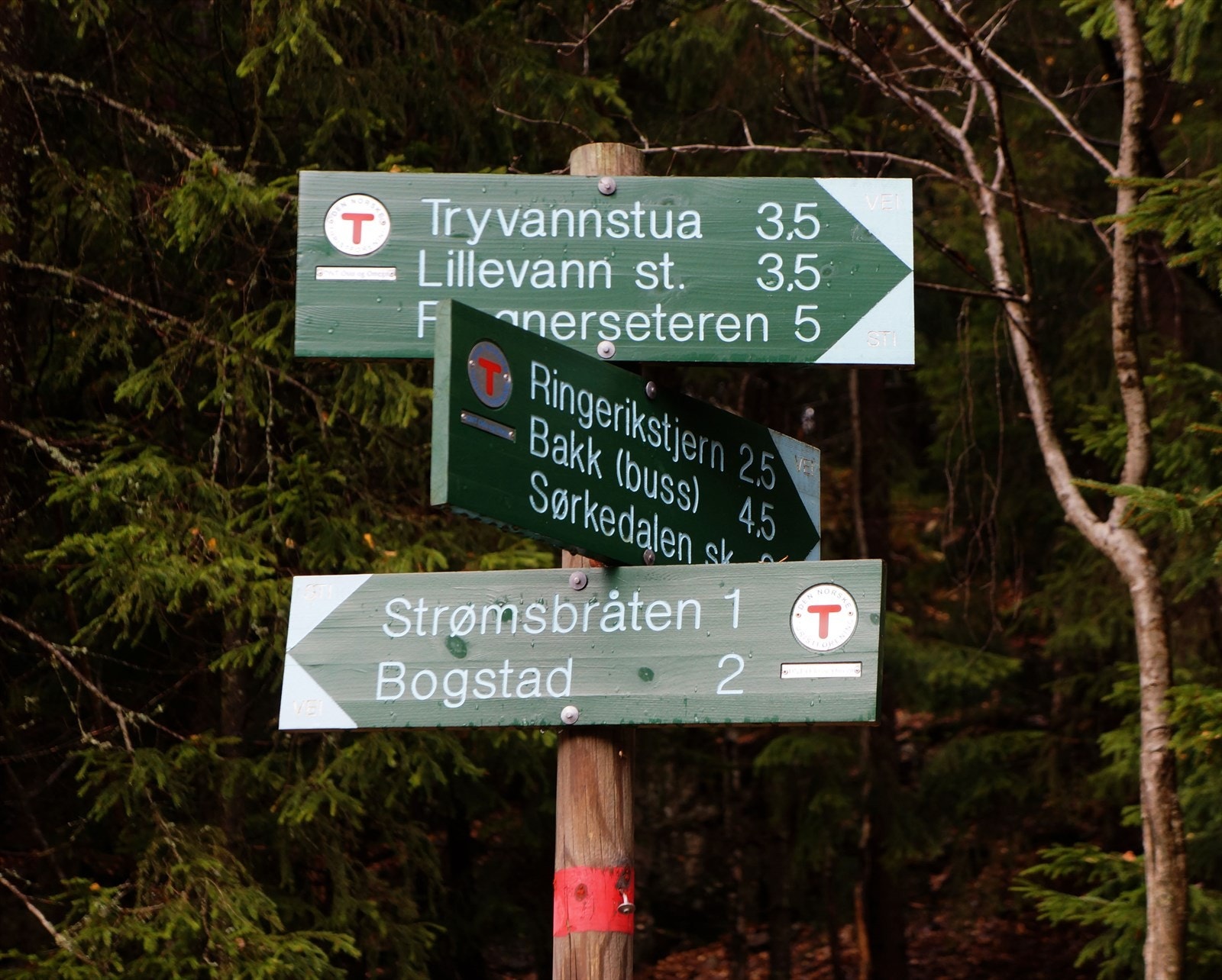 Mange fine turområder året om. Galleribilde