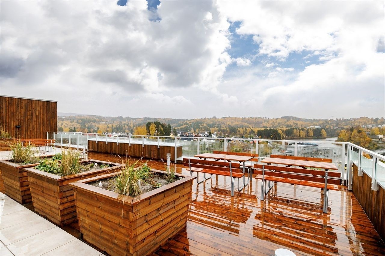 Felles takterrasse Galleribilde
