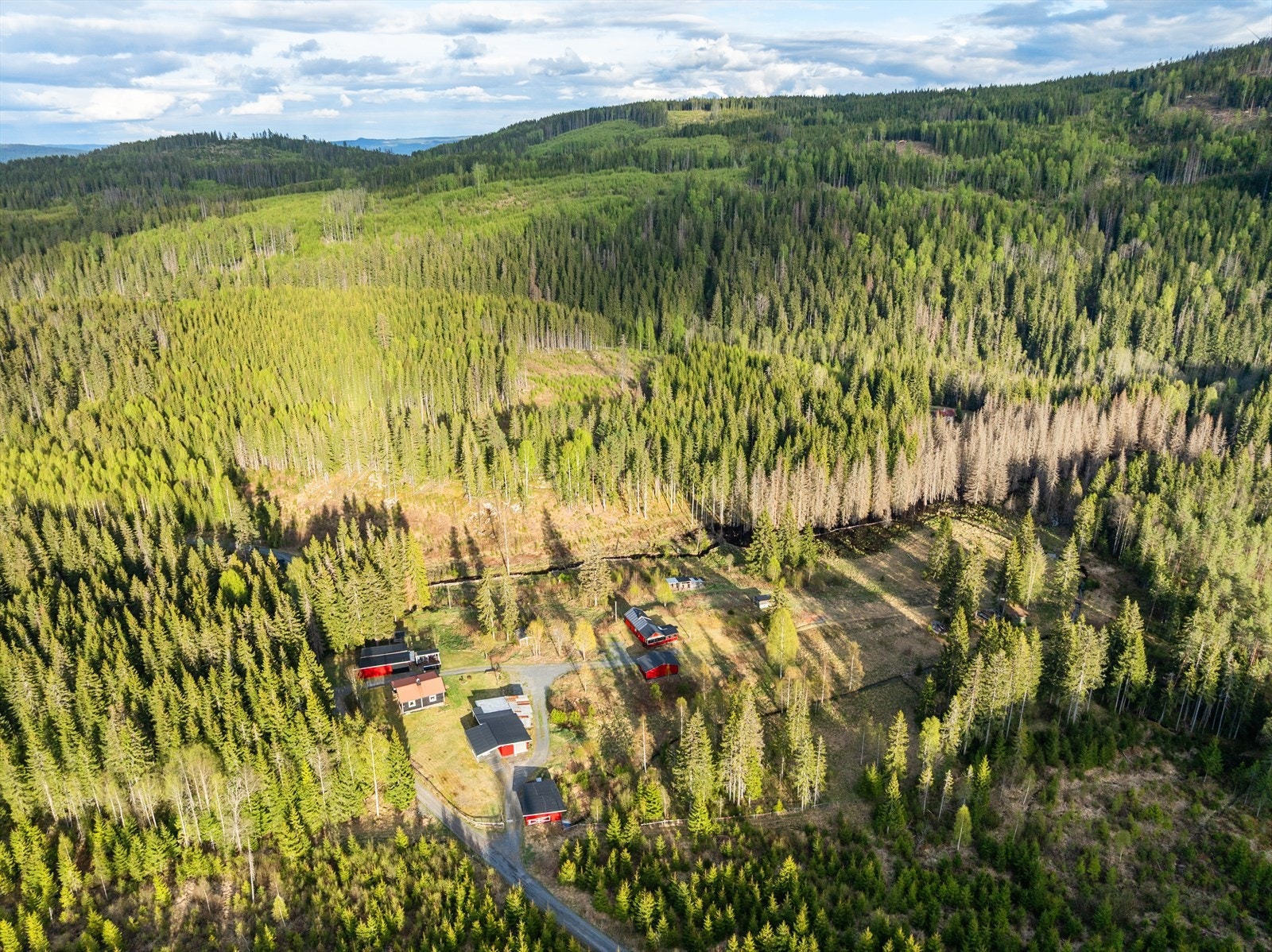 Nord-Odal byr på flotte turmuligheter, jakt og fiske rett utenfor døren. Galleribilde