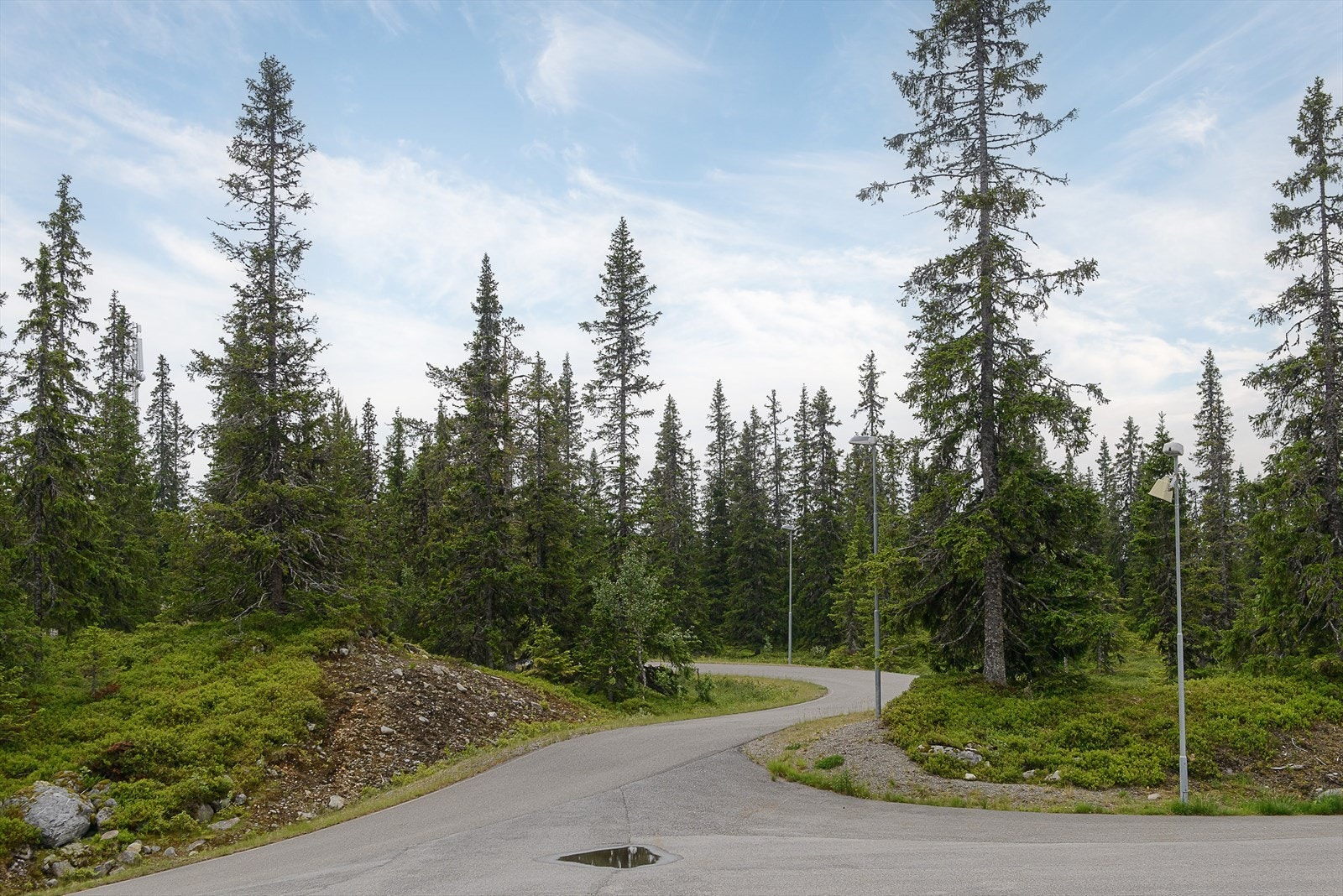 Bilde fra rulleskianlegget. Galleribilde