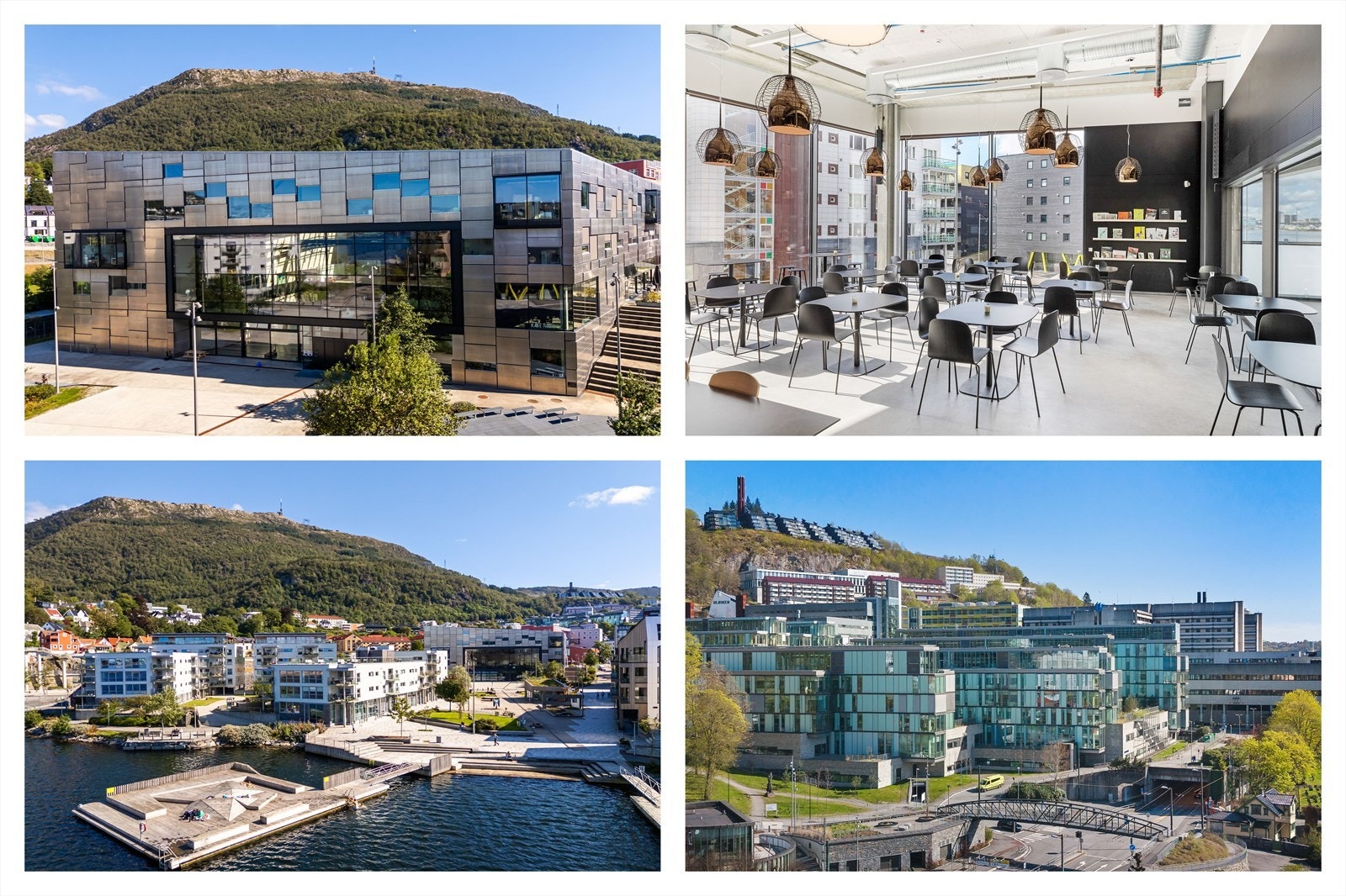 Nærområde. Galleribilde