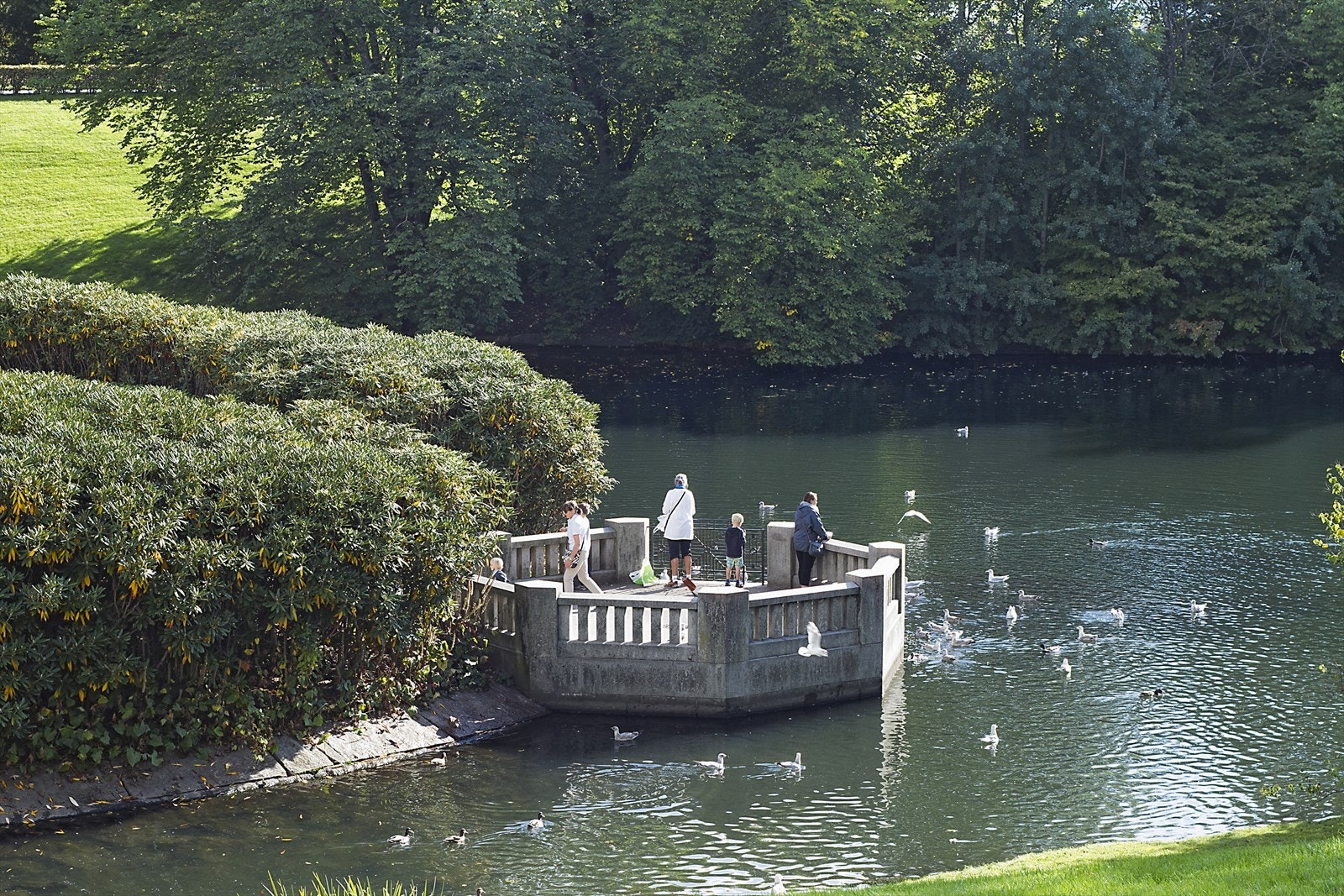 Frognerparken Galleribilde