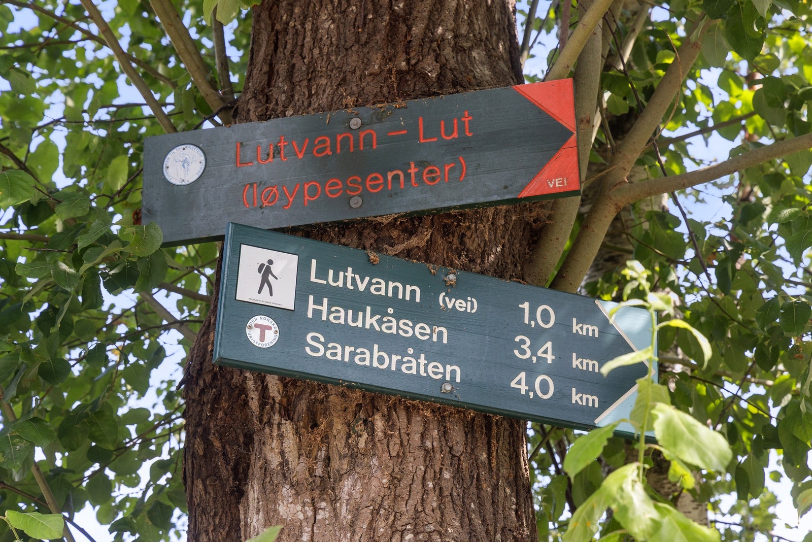 Lutvann ligger en kort spasertur unna, og byr på alt fra idylliske turområder til badevann og fiskemuligheter. Galleribilde