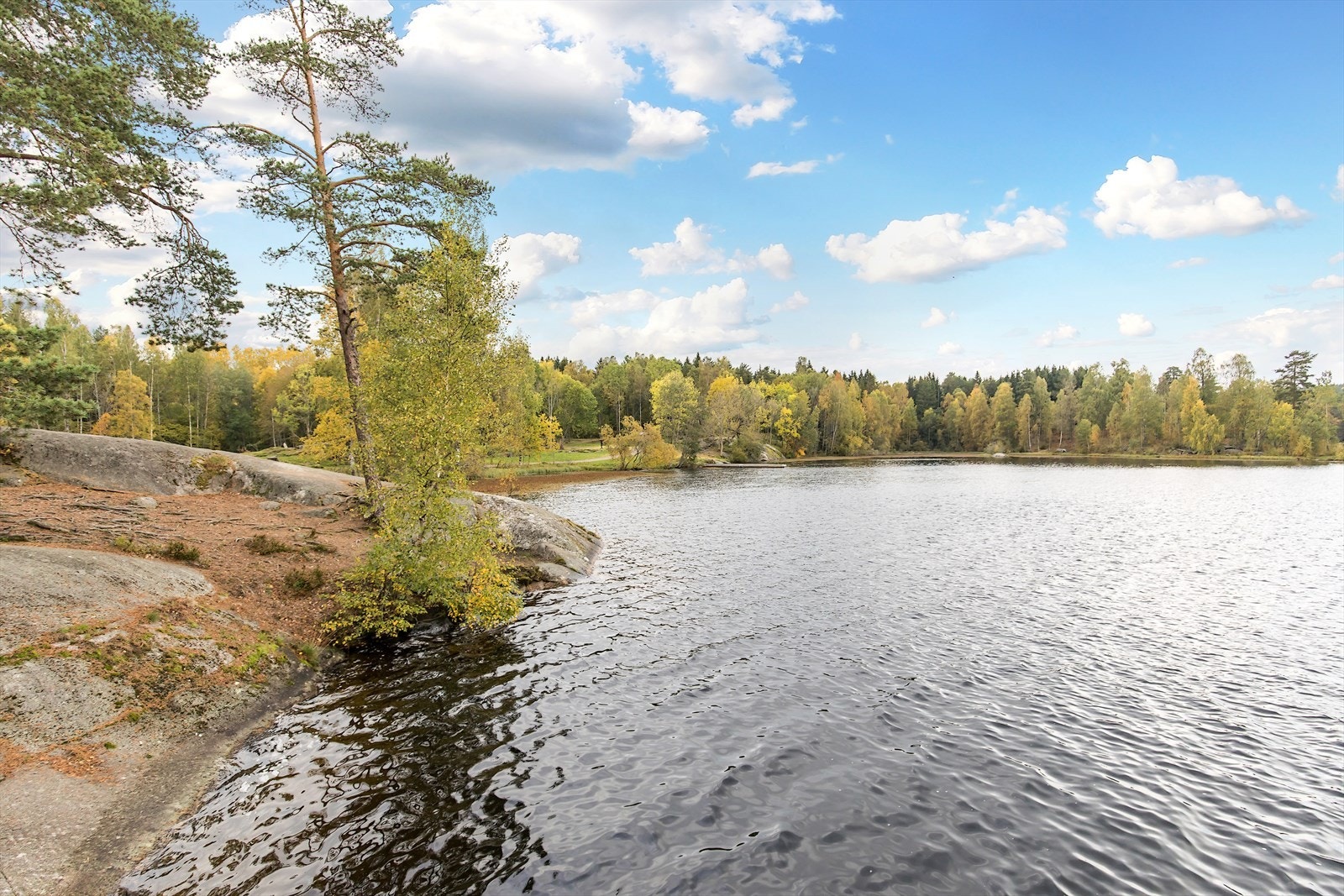 Områdebilde. Galleribilde