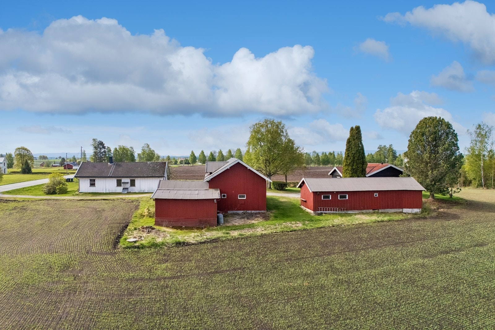 Gaustadvegen 208 har en praktisk planløsning med hovedfunksjoner samlet på ett plan. Boligen fremstår med eldre standard og normalt vedlikeholdsbehov sett opp mot byggeår. Galleribilde