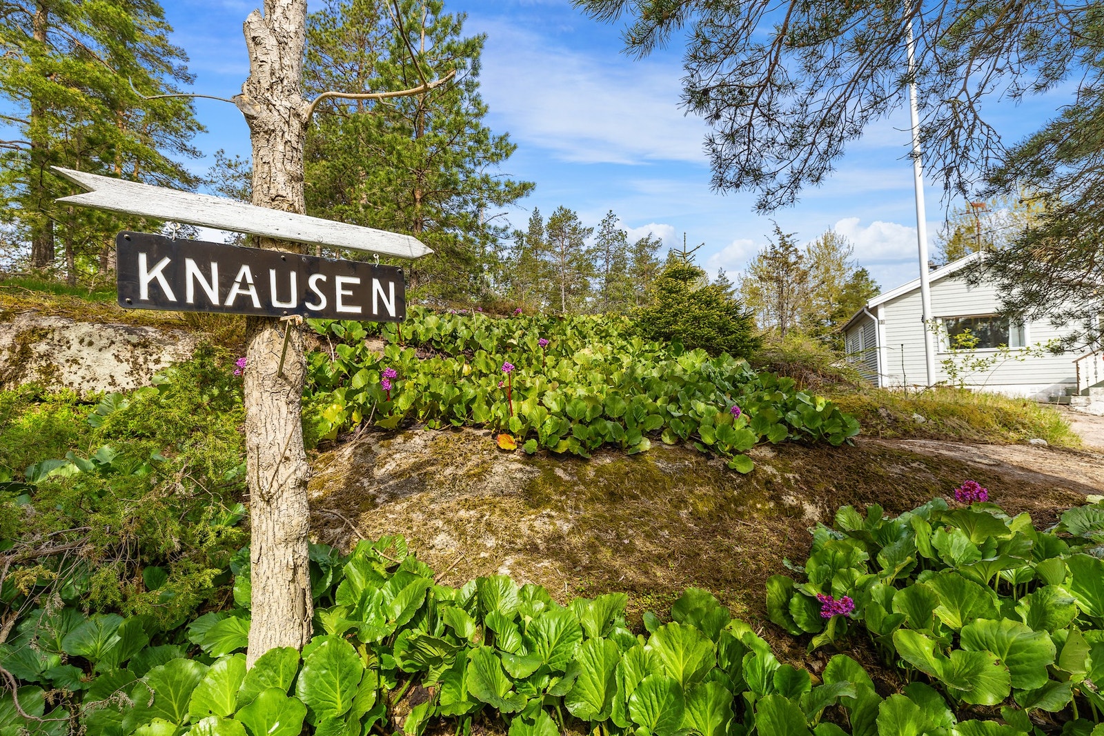 Hytta ligger idyllisk og usjenert til Galleribilde