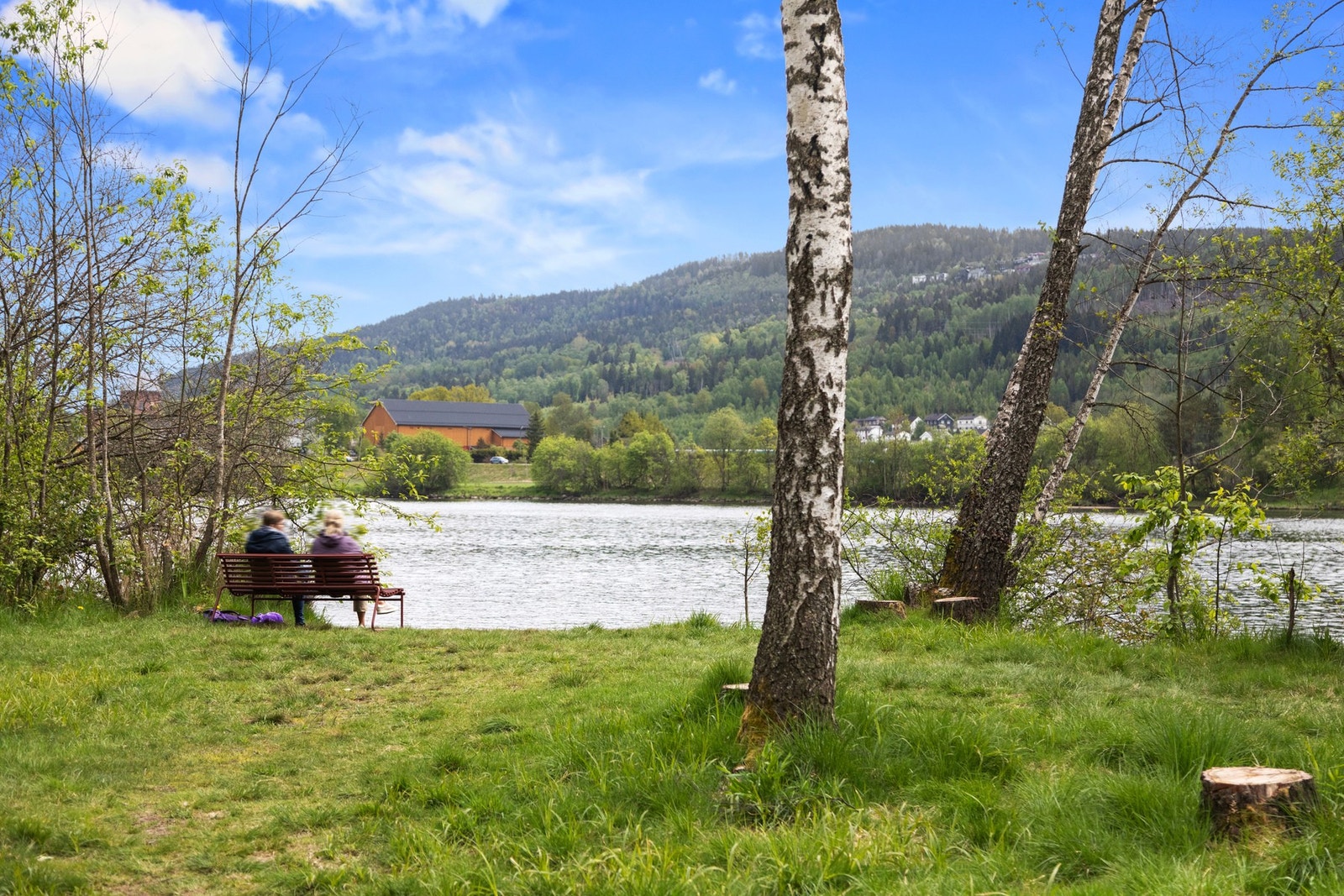 Pålsøya er et rekreasjonsområde med sittebenker Galleribilde