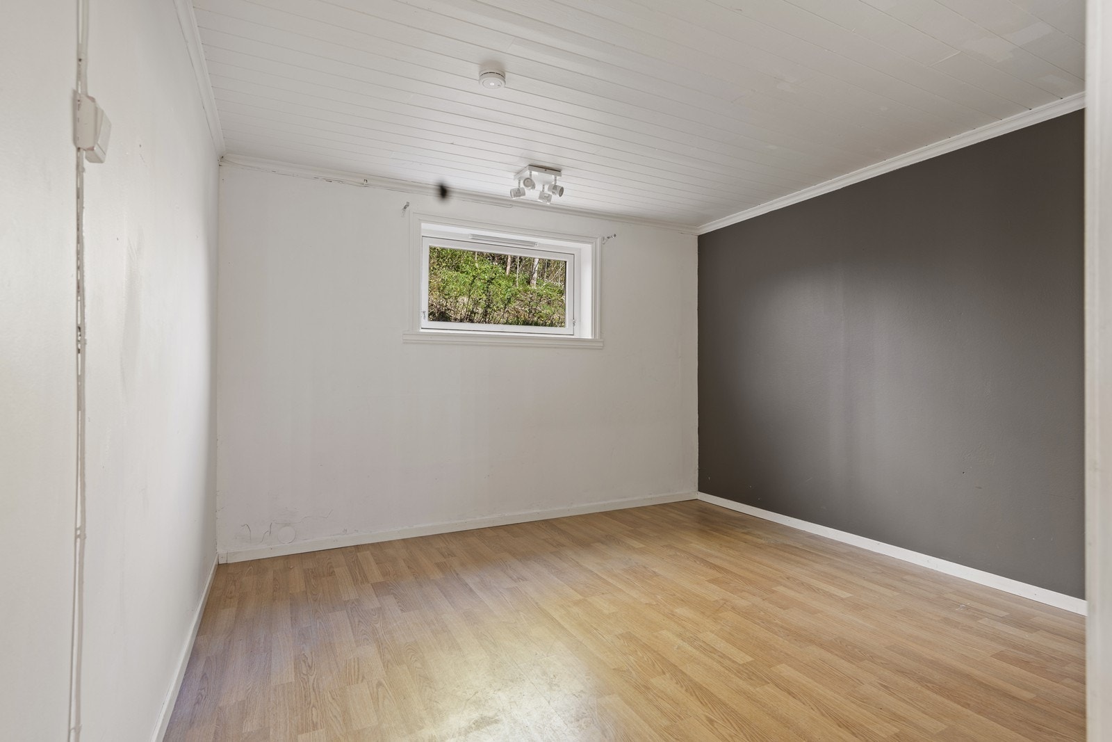 - Rom i kjeller - Galleribilde