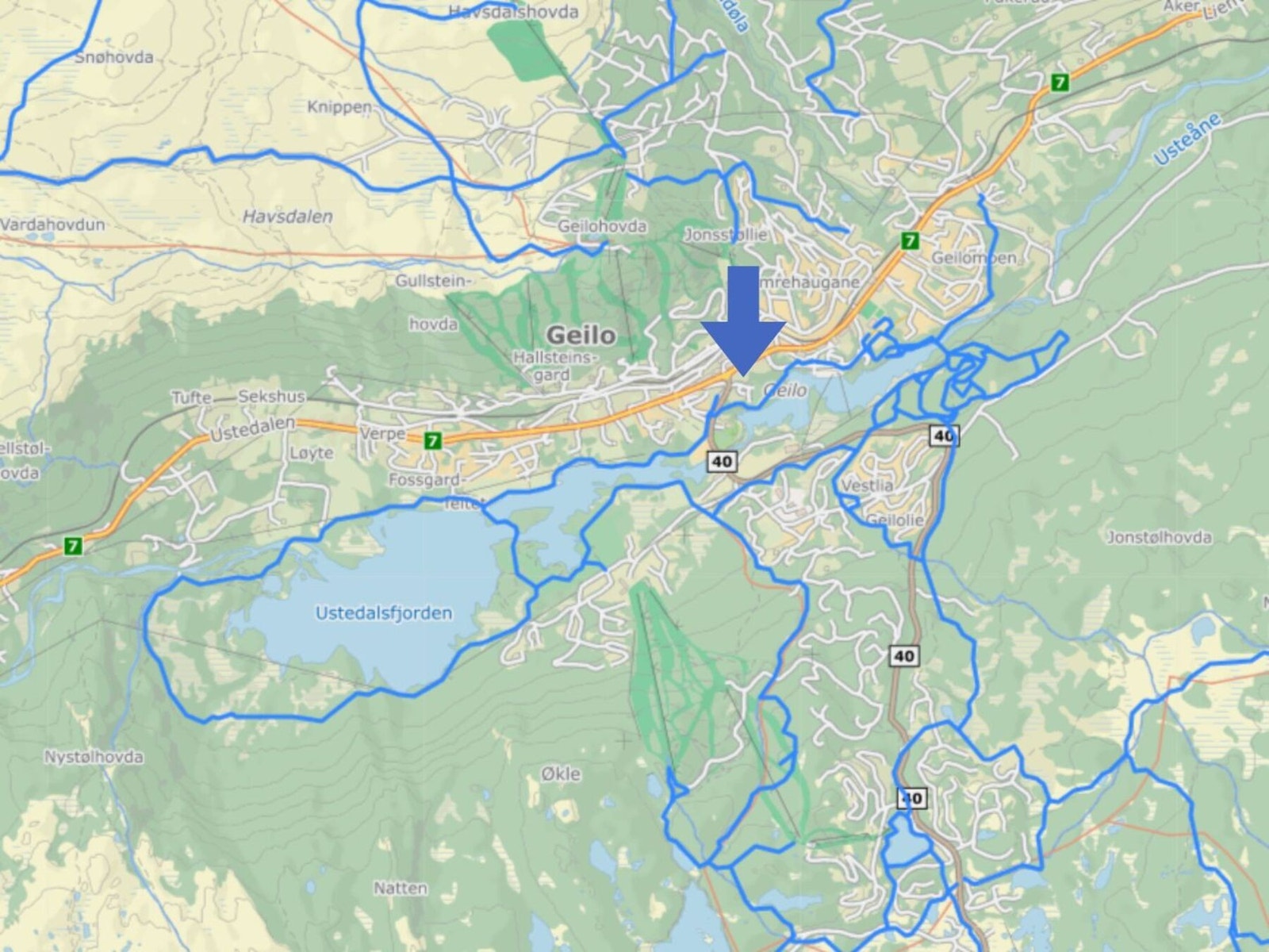 Langrennsløyper på Geilo. Leiligheten markert Galleribilde