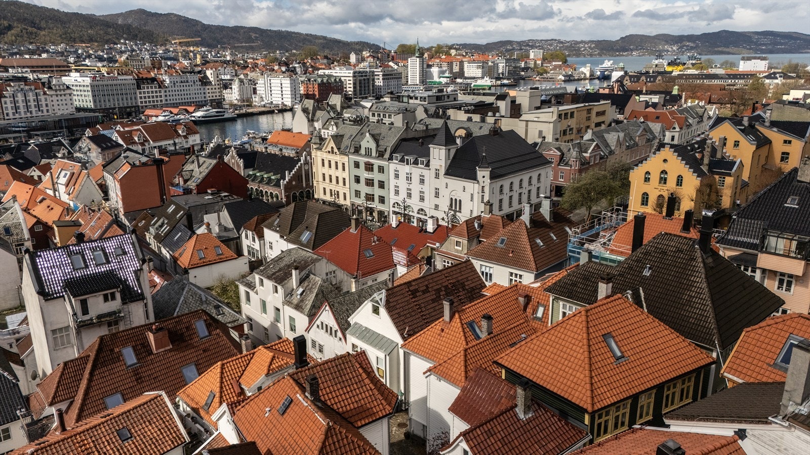 - Nordvik Bolig v/Ken Martin Wigand har gleden av å presentere Bernhard Meyers vei 5. Foto: Natalie Harila Sæthre - Galleribilde