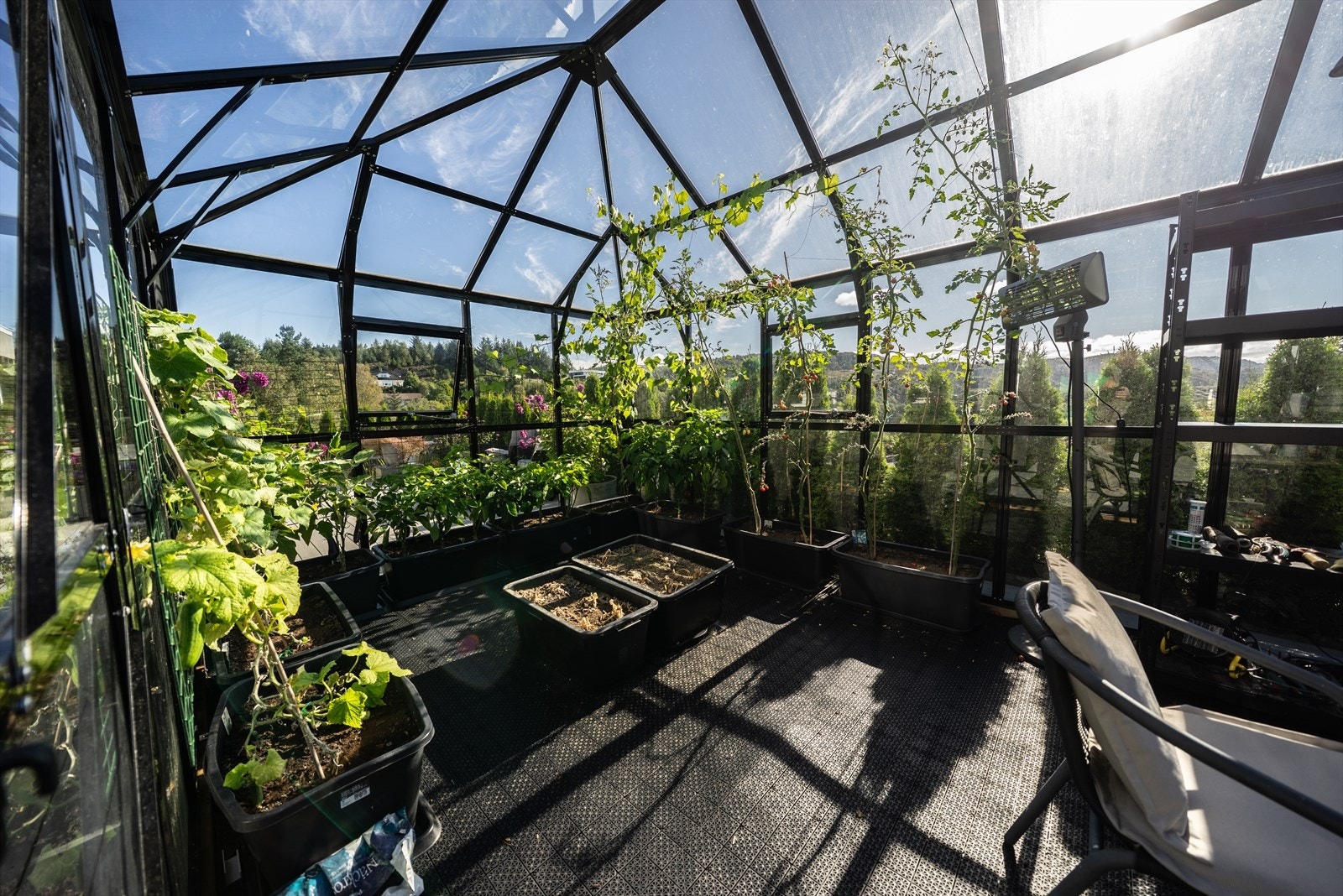 - Et nydelig drivhus for grønne drømmer - Galleribilde