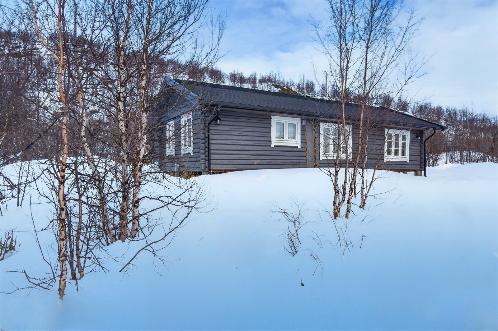 Velkommen til Skoganvarreveien 3940! Galleribilde