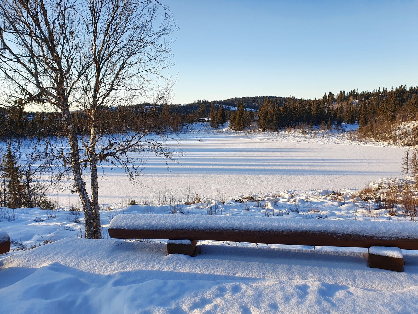 Selgers eget vinterbilde av utsikten. Galleribilde