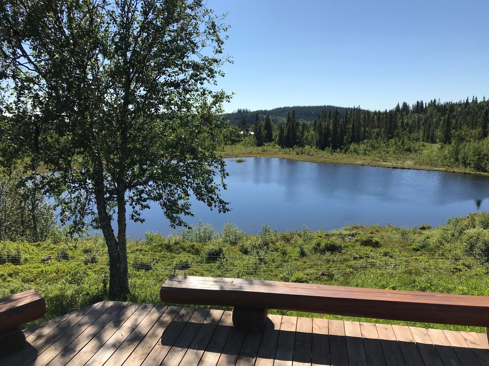 Selgers eget utsiktsbilde. Galleribilde
