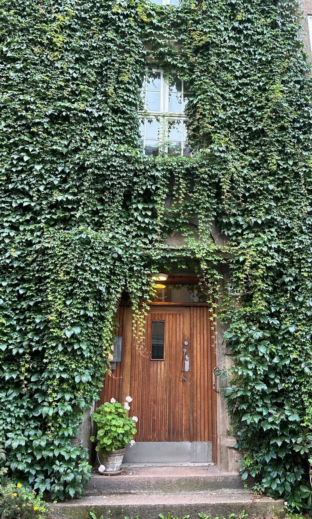 Private bilder. Galleribilde