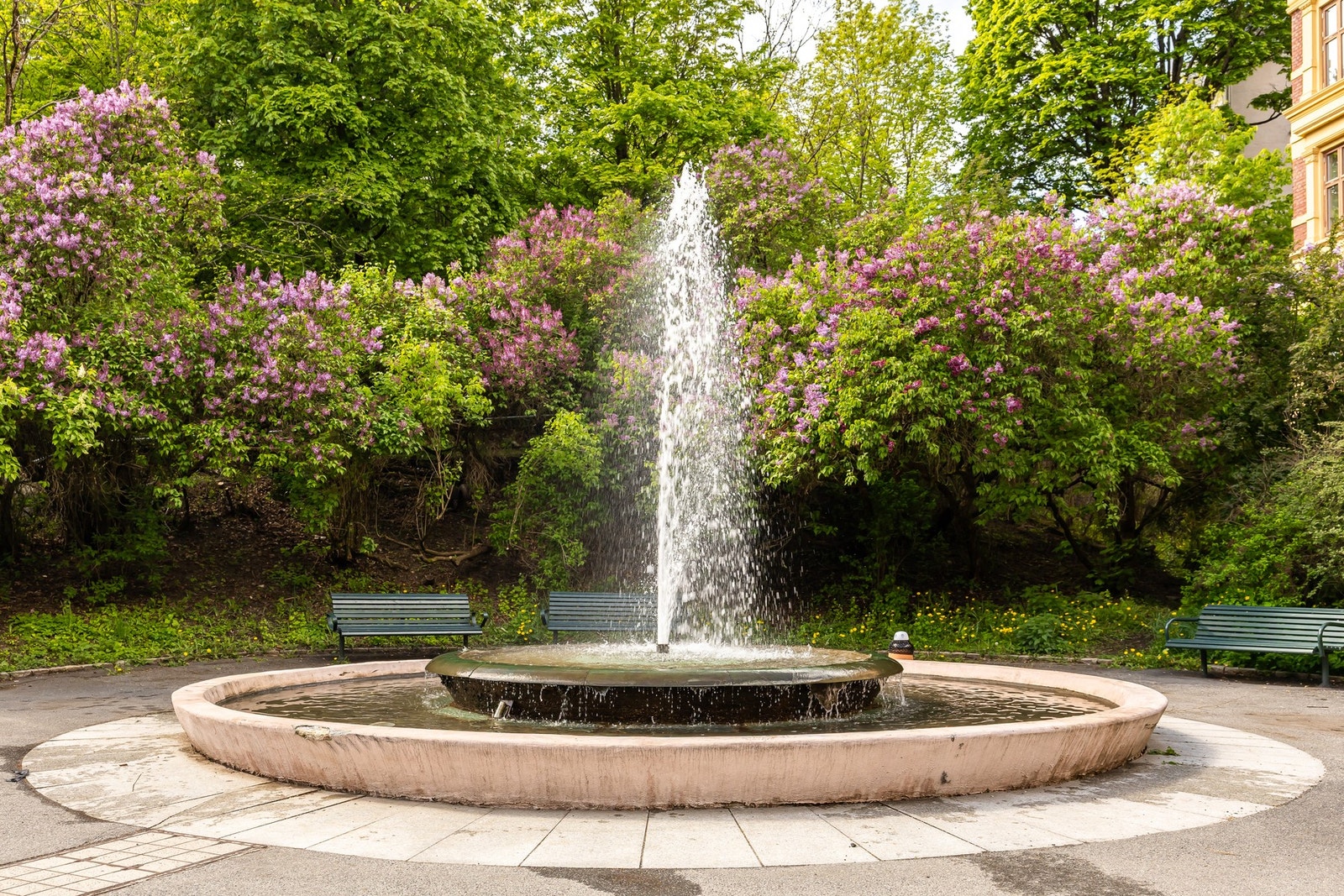 Stensparken rett ved leiligheten. Galleribilde