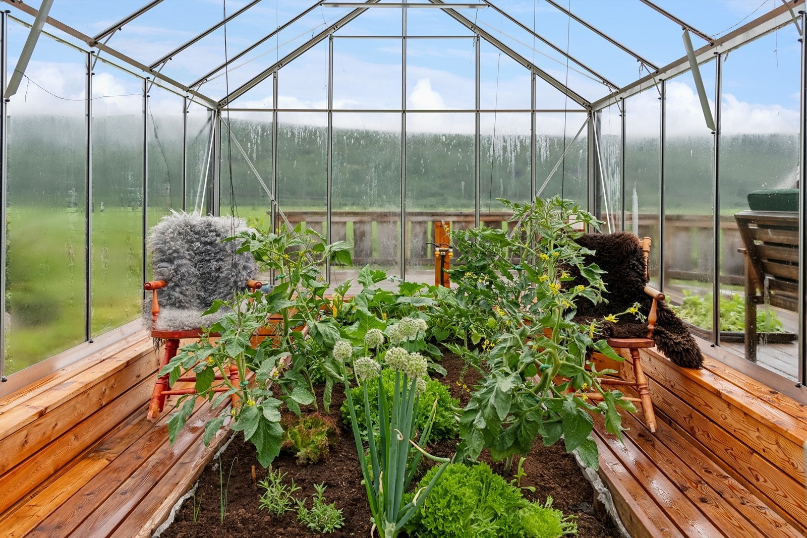 Det er innlagt strøm og sommervann i drivhuset Galleribilde