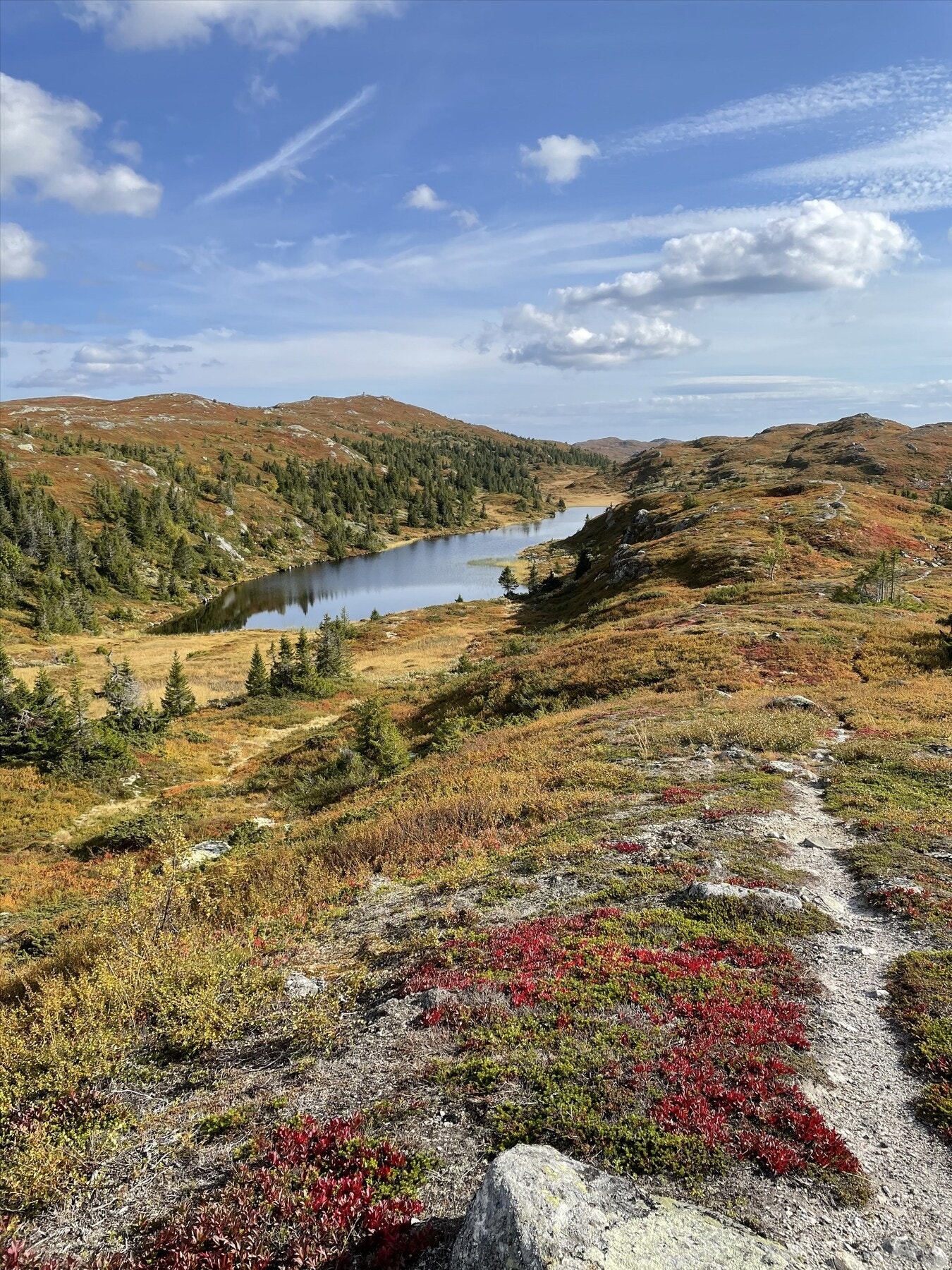 Høst i Liemarka - Blåfjell i bakgrunnen Galleribilde