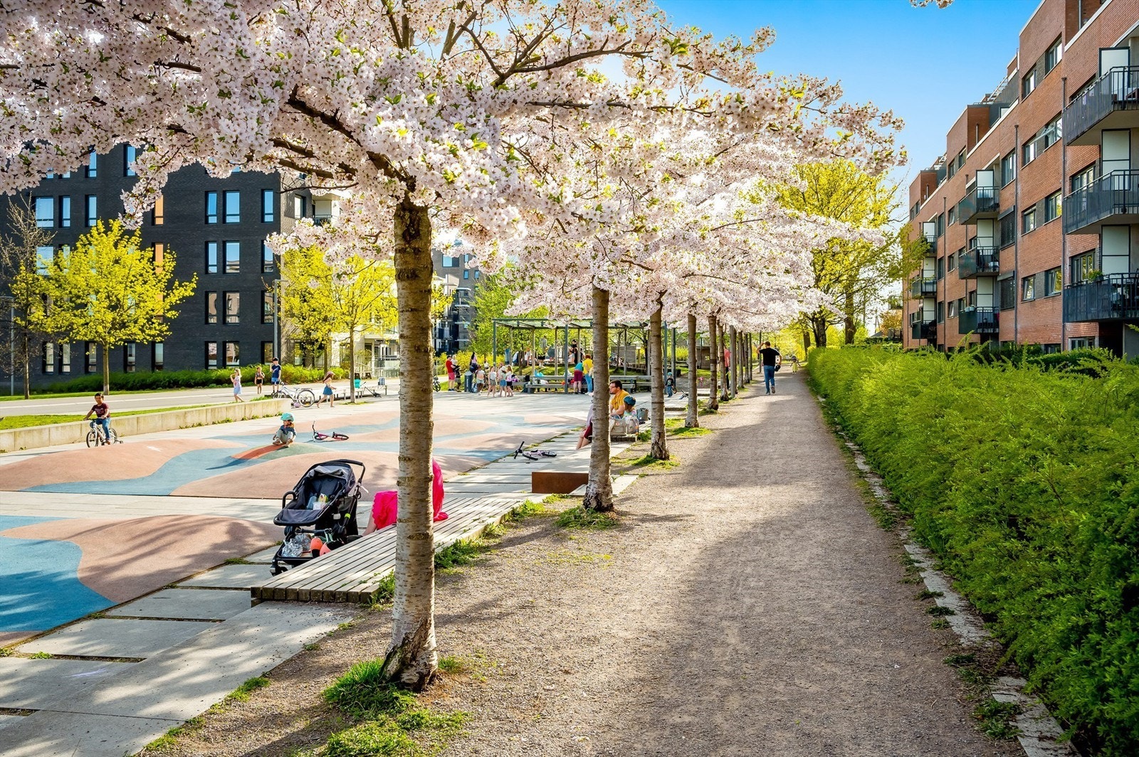 Området er svært barnevennlig med en rekke flotte områder for de minste å boltre seg. Galleribilde