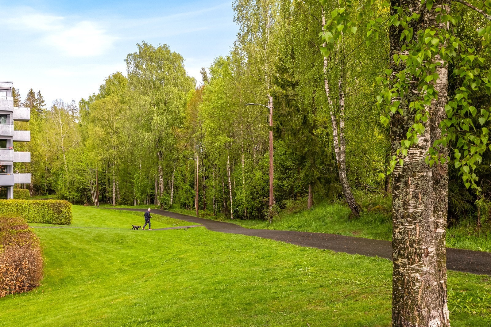 Flotte grøntområder i Midtskogen. Galleribilde