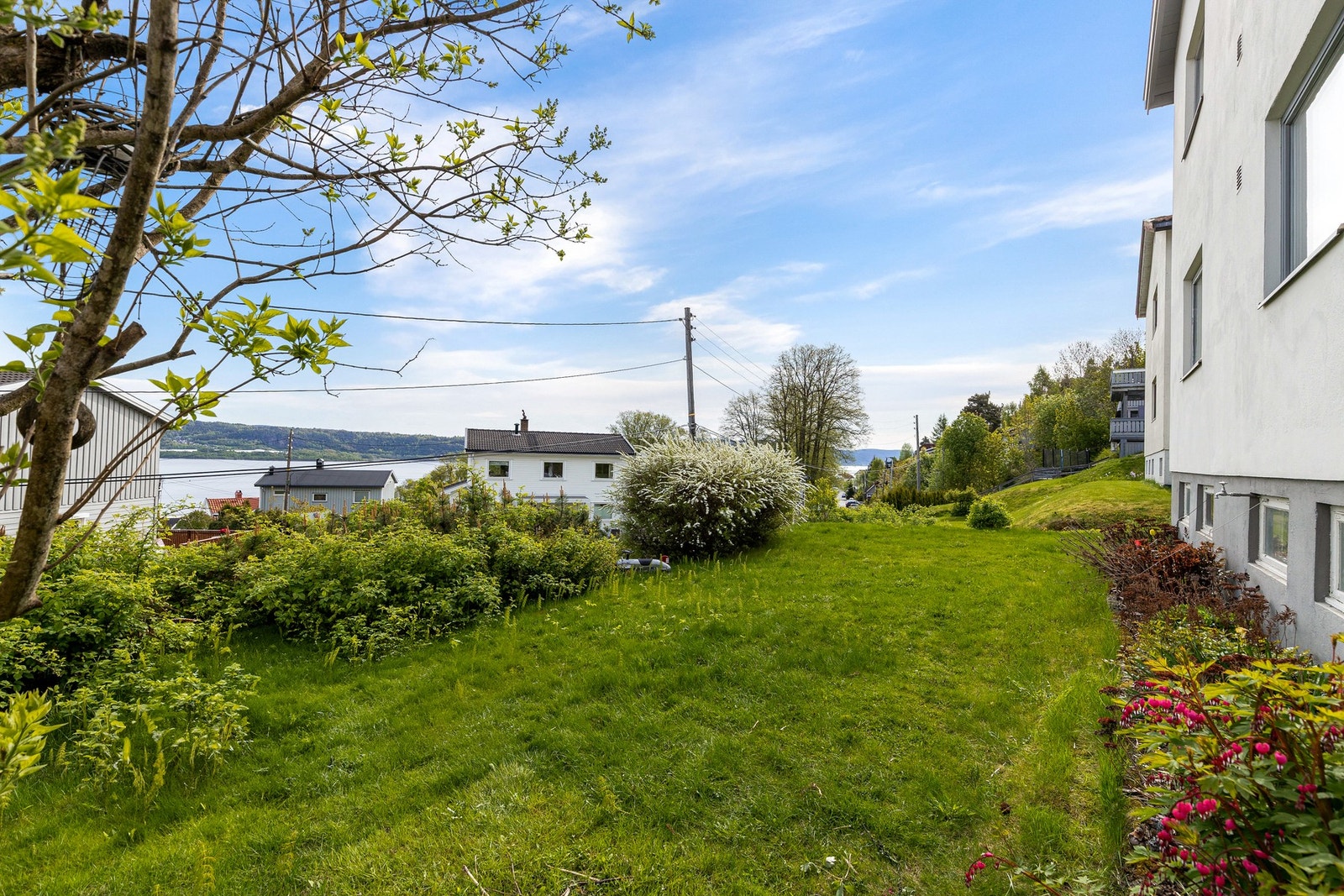 Tomten er pent opparbeidet med gressplen, trær og beplantninger. Galleribilde