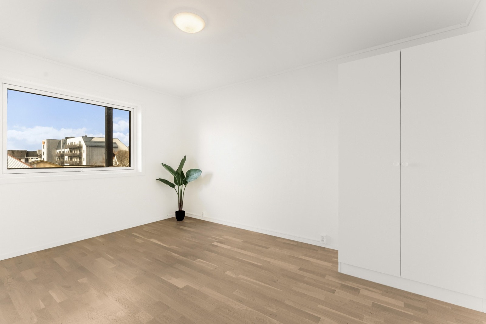 Romslig hovedsoverom med plass til dobbeltseng og garderobe. Galleribilde