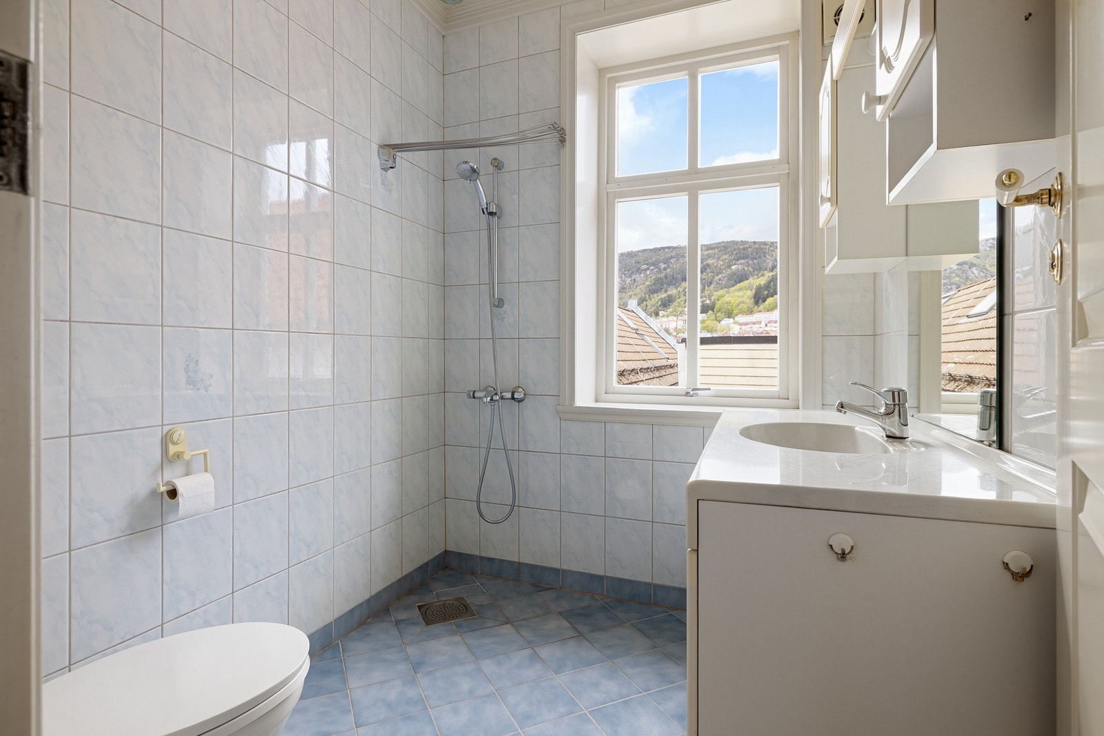 Badet har toalett, baderomsinnredning og dusj. Galleribilde