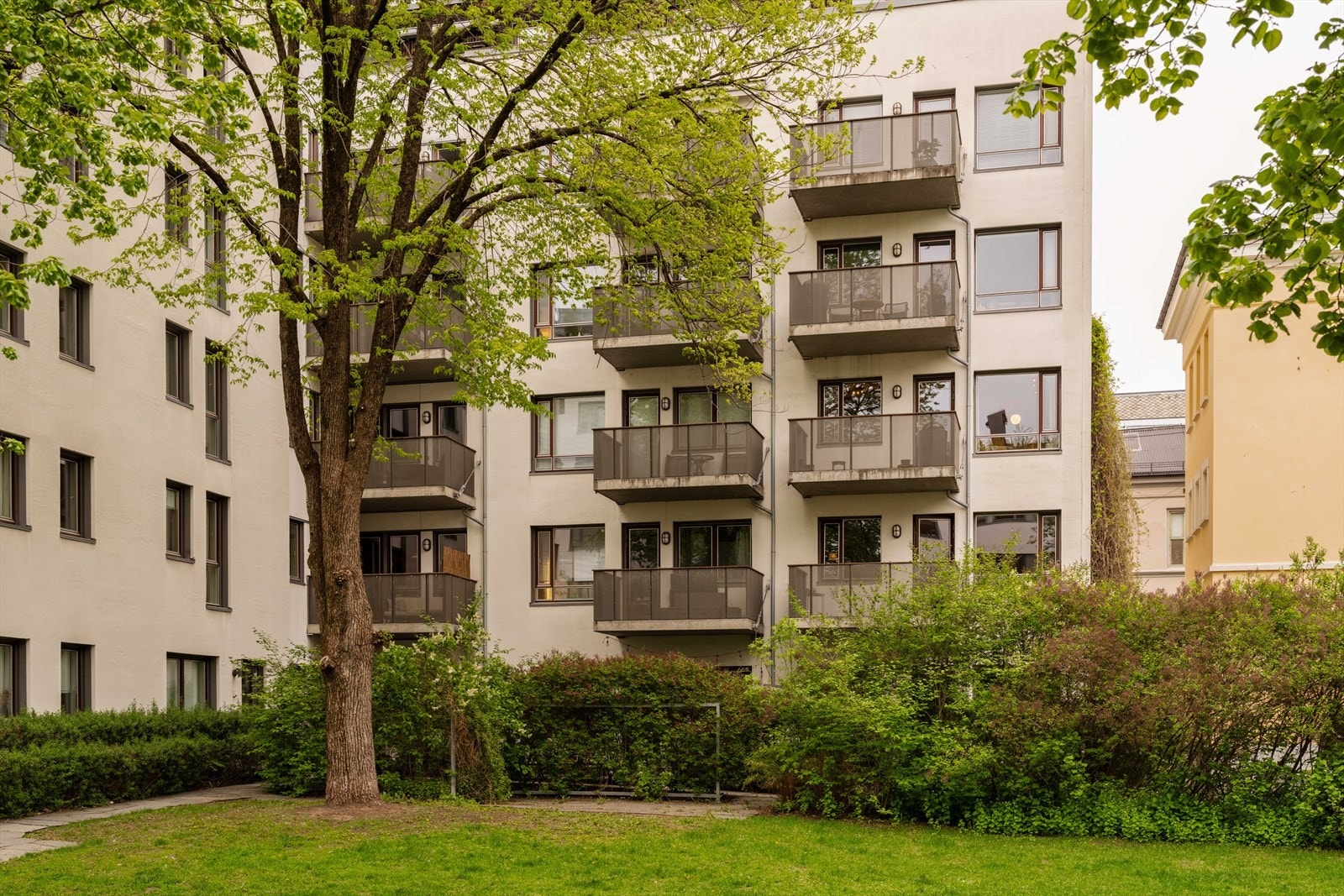 Bygården har en skjermet og frodig bakgård. Galleribilde
