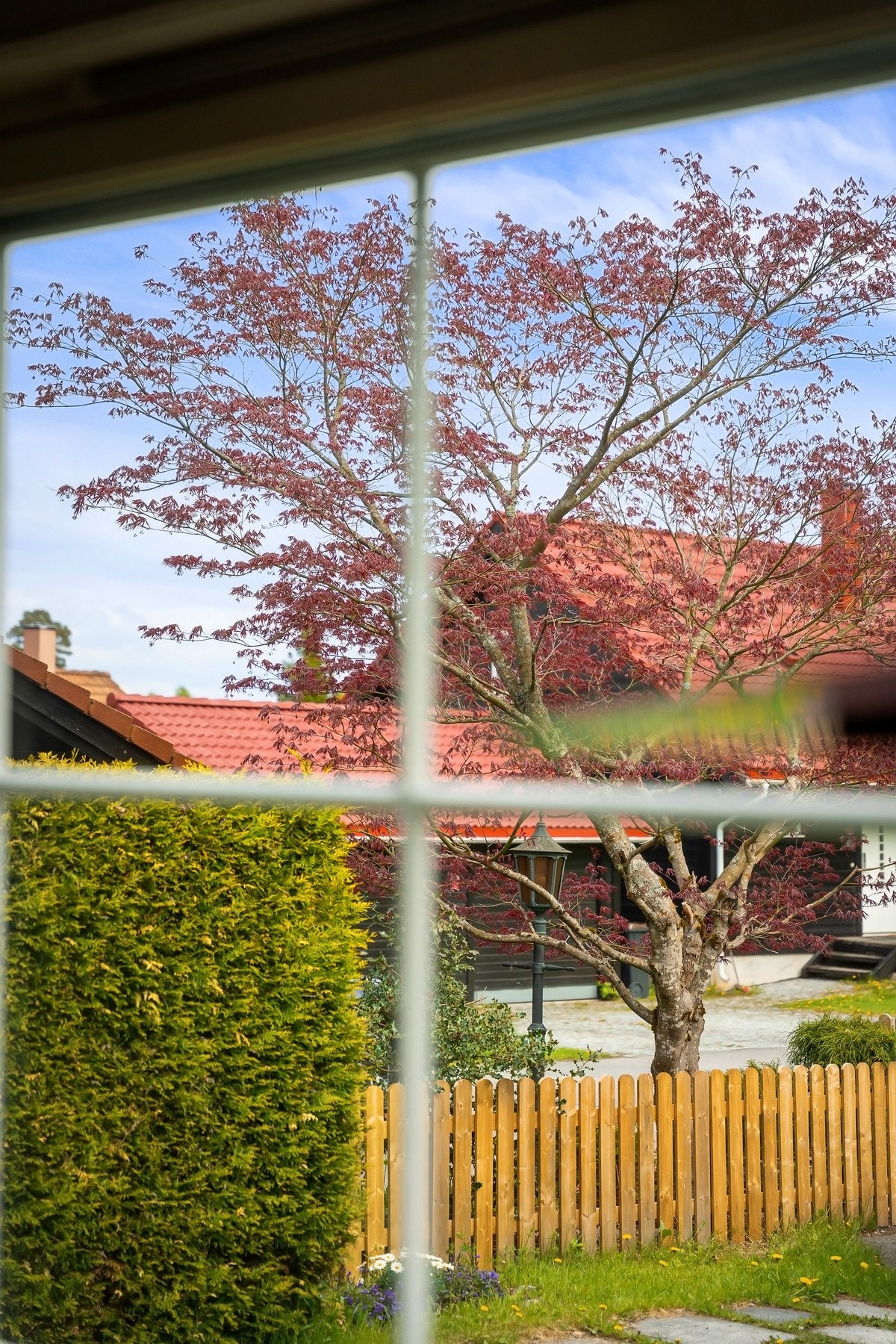 Fra kjøkkenet er det nydelig utsyn til hagen på framsiden. Galleribilde