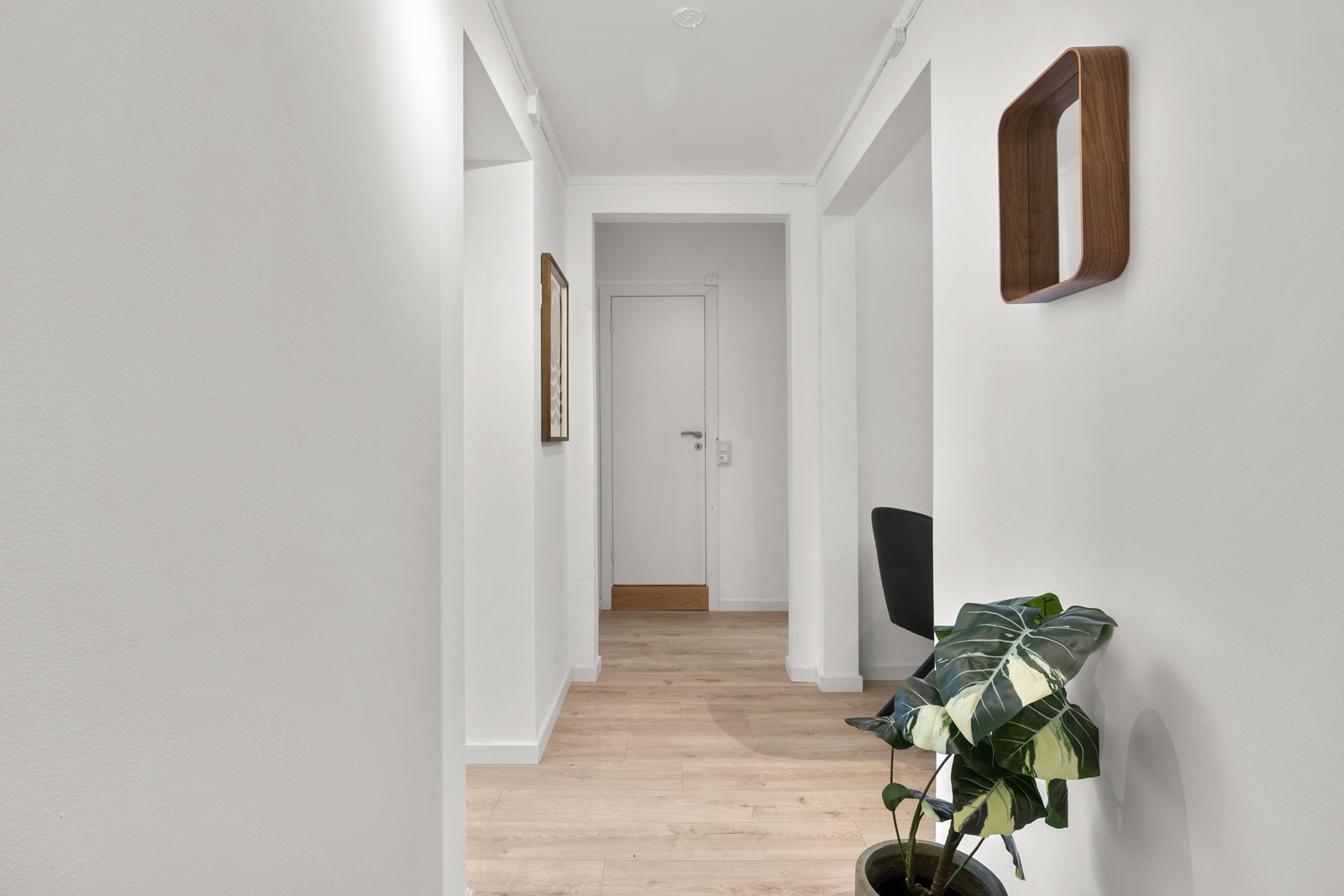 Velkommen til visning Galleribilde