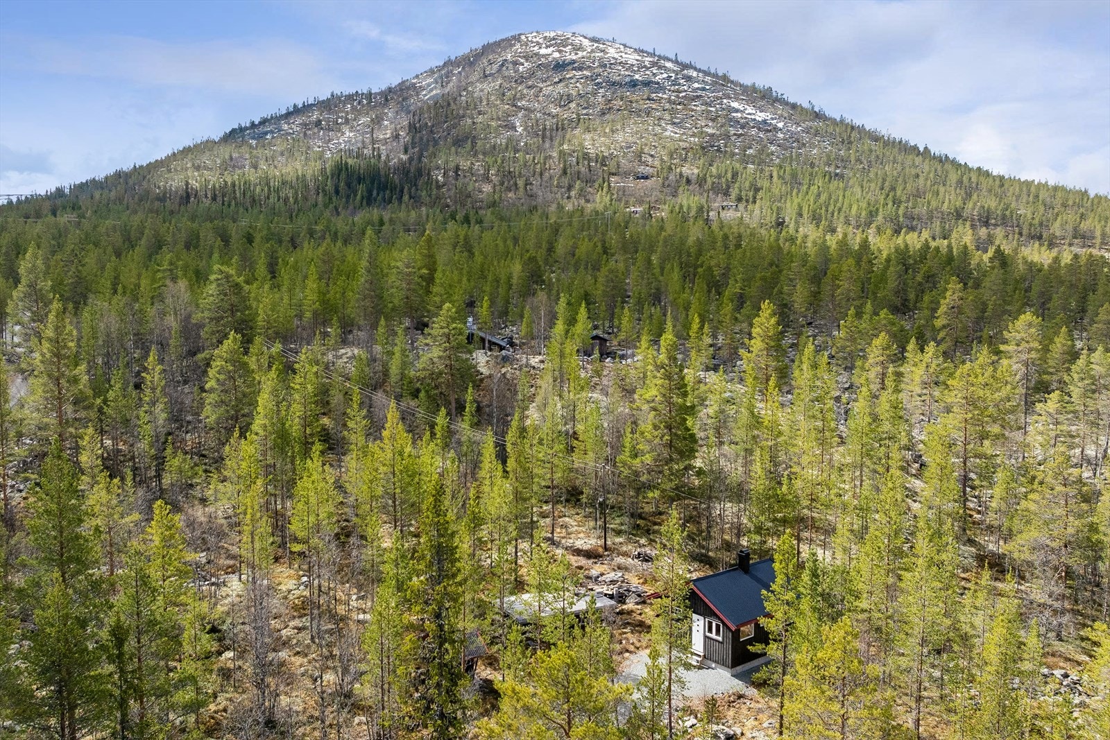 Utsikt mot Renåfjellet og de omkringliggende skogsområdene. Galleribilde