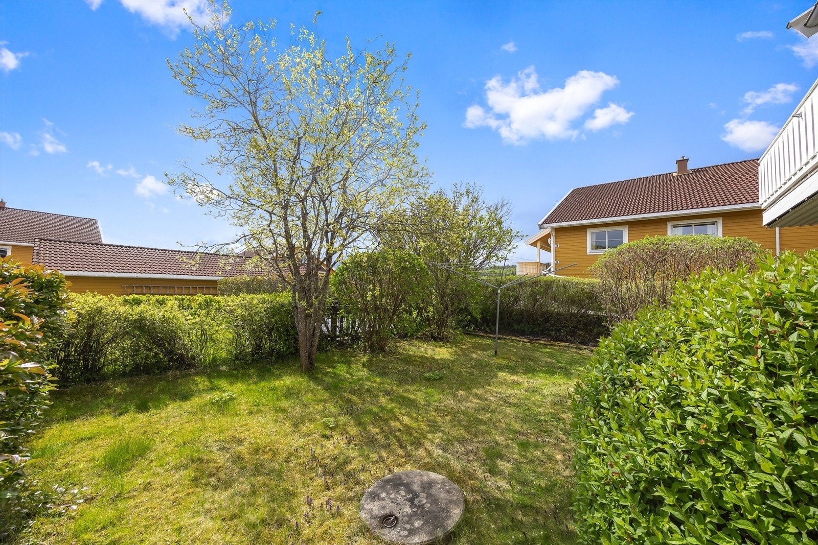 Sameiet har opparbeidede fellesarealer med plen. Galleribilde