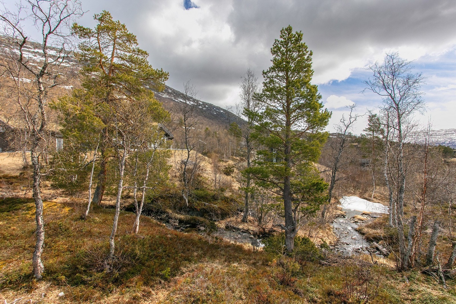 Tomten grenser til et friområde med en liten bekk, noe som forsterker naturopplevelsen. Galleribilde