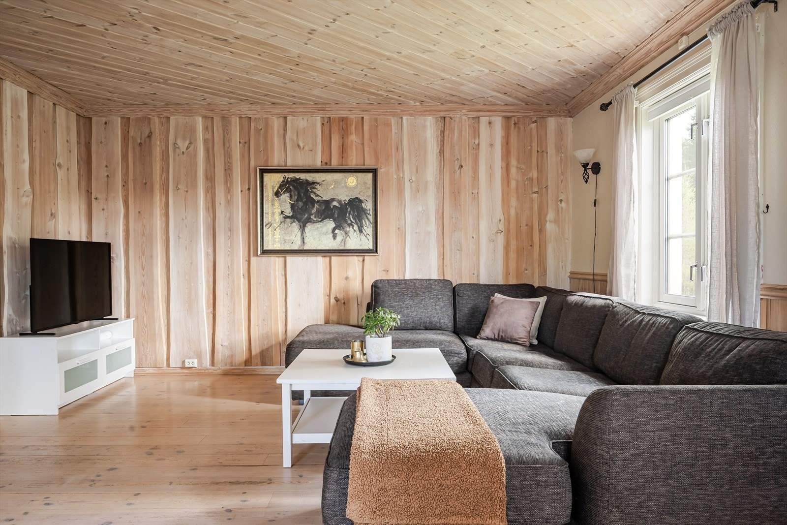Det er godt med plass til stor sofa og TV-møblement. Galleribilde