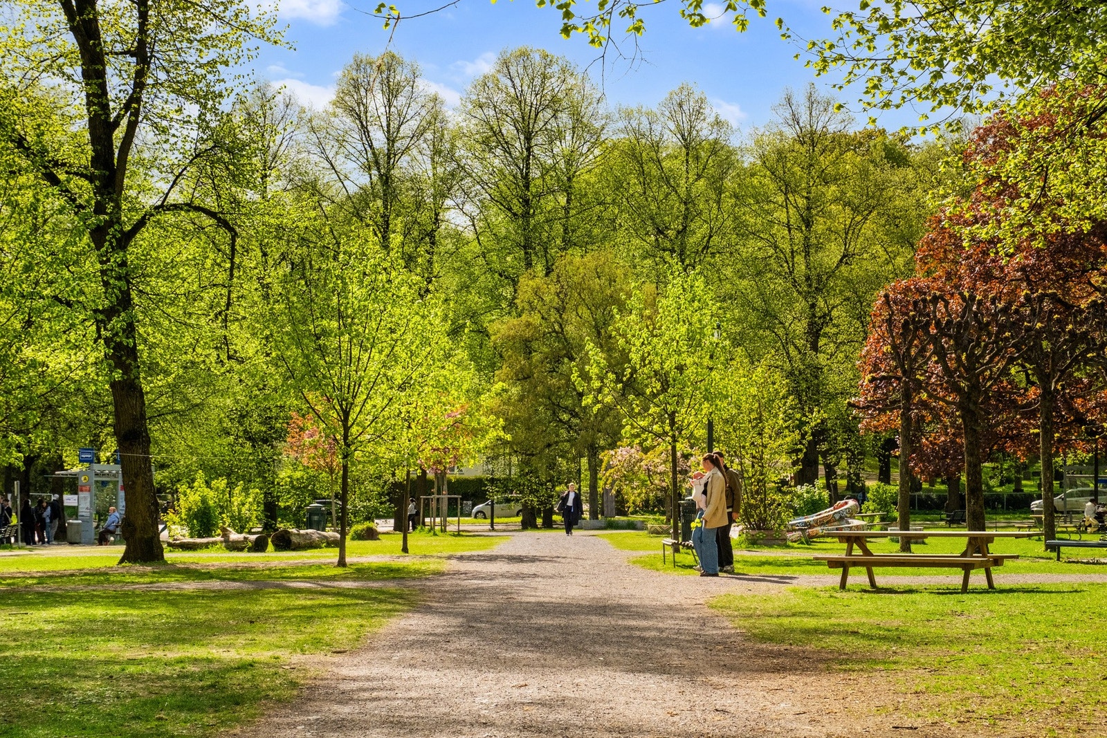 Det er flere nydelige parkområder like ved boligen. Galleribilde