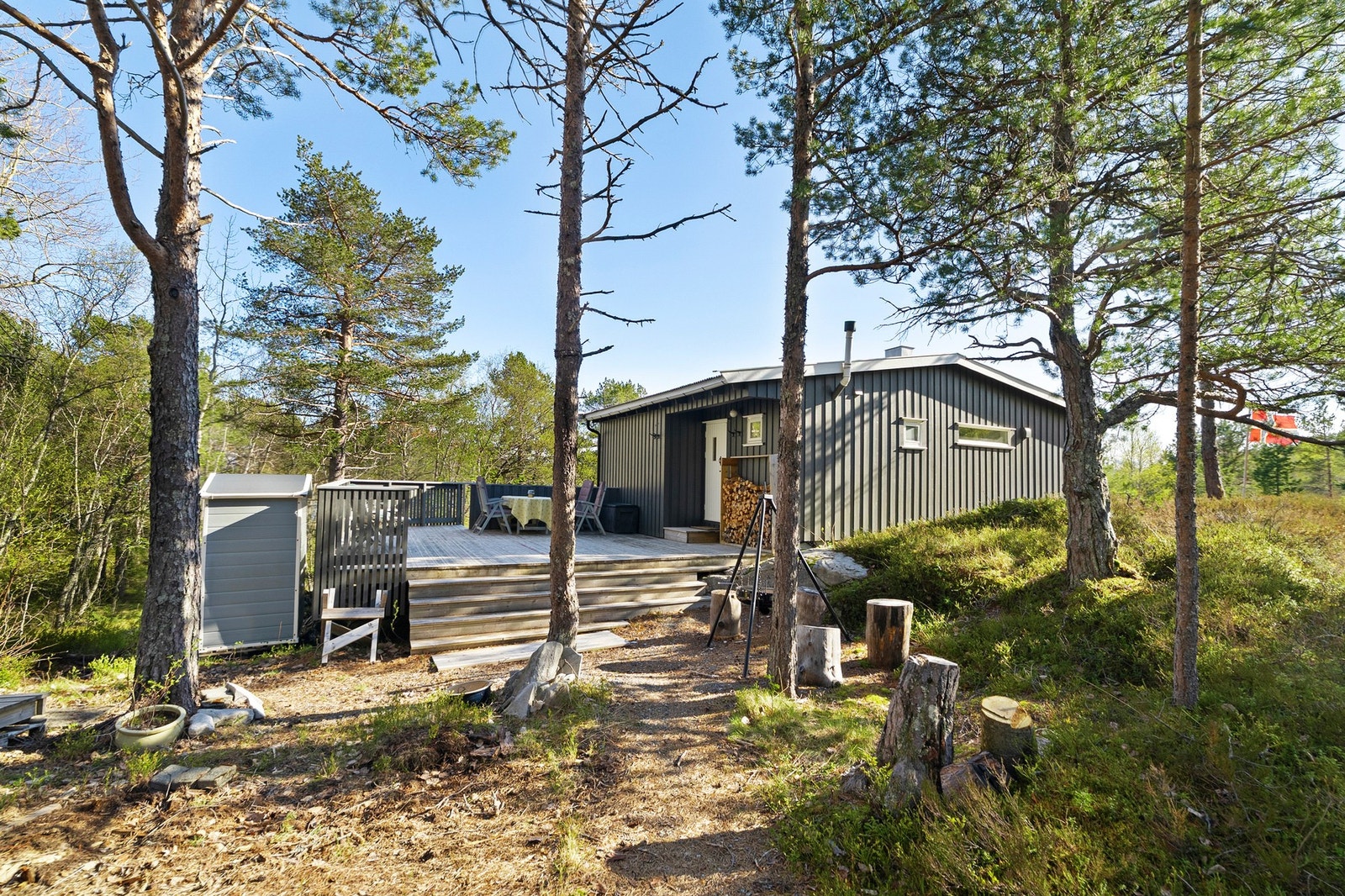 Hytta er omgitt av naturtomt med furutrær. Galleribilde